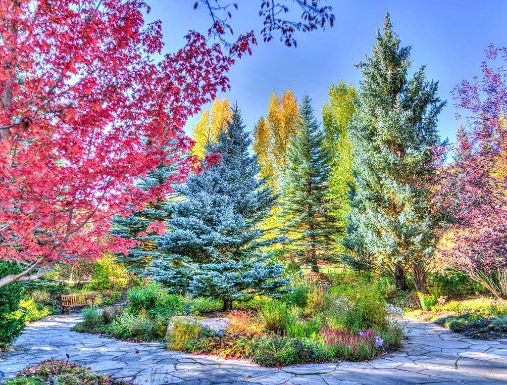 1024 x 778 · jpeg - Colourful Trees 1000 Piece Jigsaw Puzzles | Nature wallpaper, Colorful ...