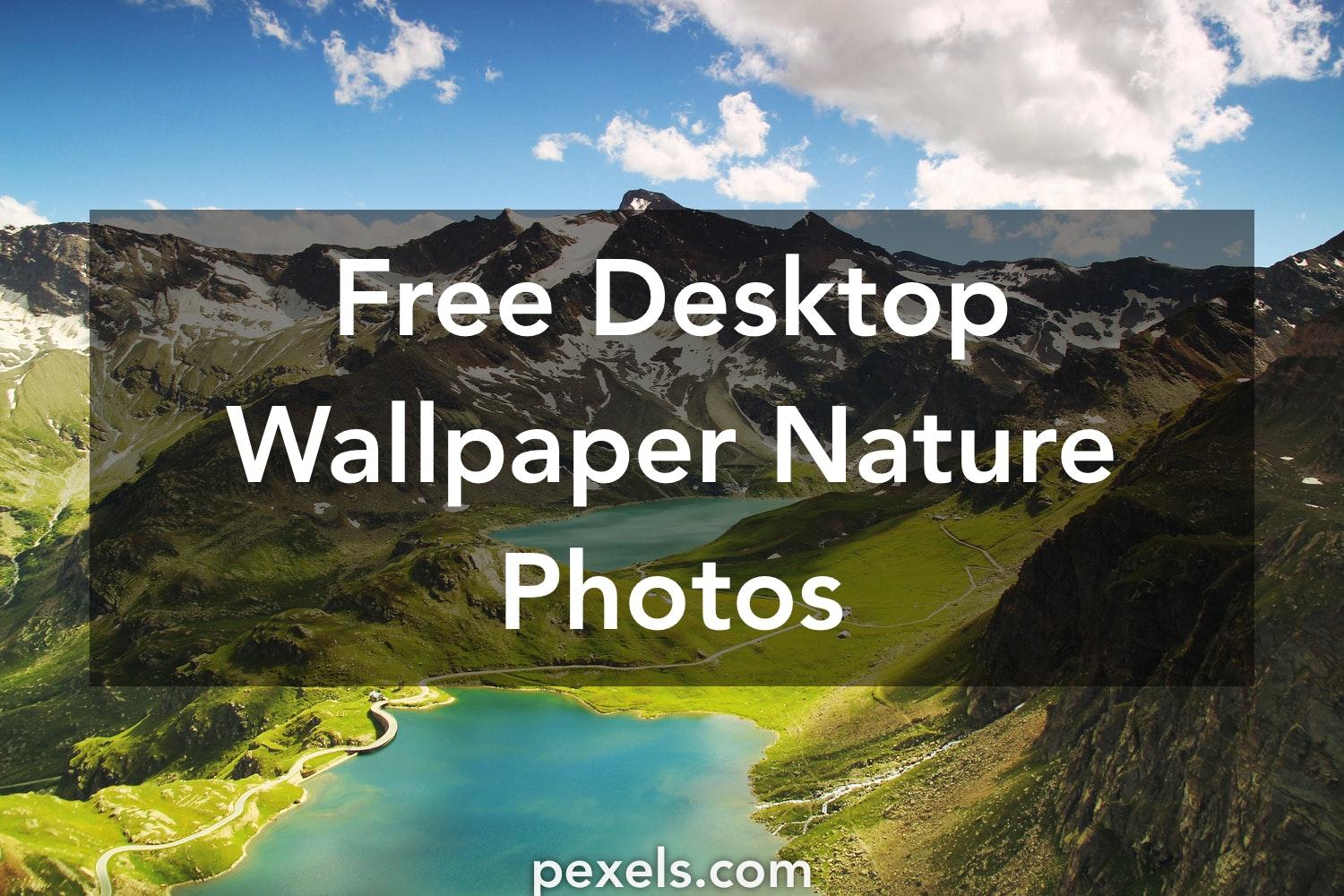 1500 x 1000 · jpeg - 1000+ Interesting Desktop Wallpaper Nature Photos  Pexels  Free Stock ...