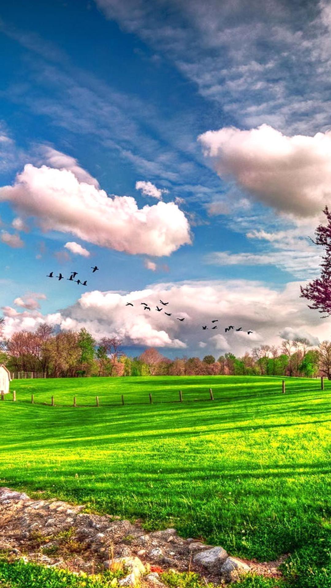 1080 x 1920 · jpeg - Landscape beautiful spring nature - HD wallpaper Wallpaper Download ...