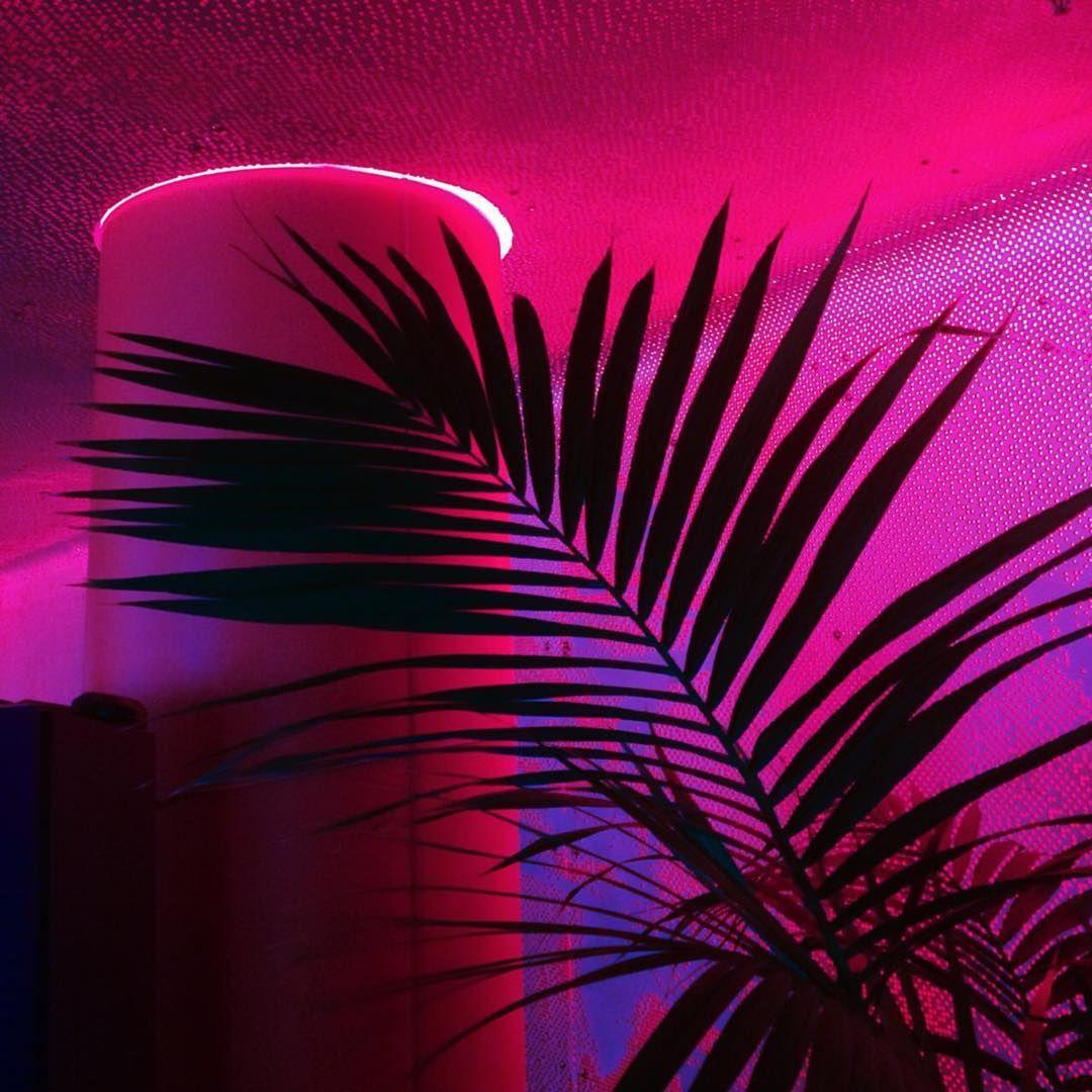 1080 x 1080 · jpeg -  Dark Pink Aesthetic Neon - 2021