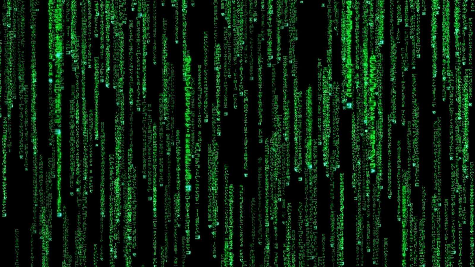 1600 x 900 · jpeg - Animated Matrix Wallpaper