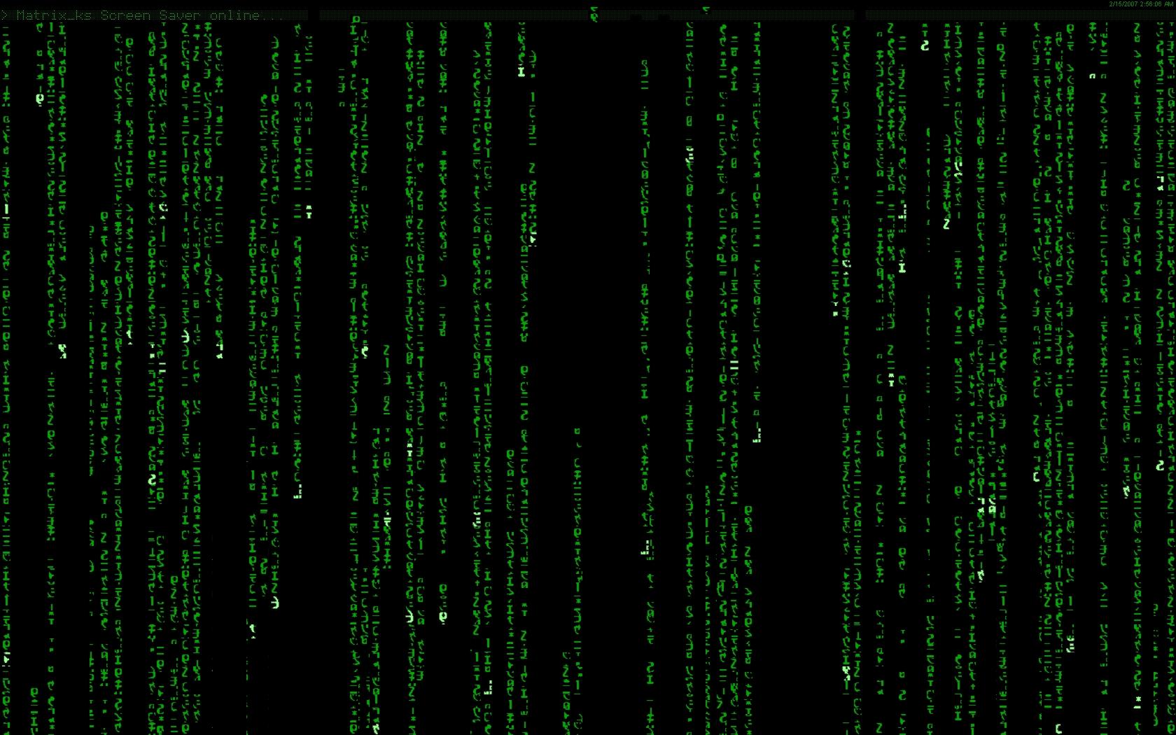 1680 x 1050 · jpeg - [45+] Moving Matrix Code Wallpaper on WallpaperSafari