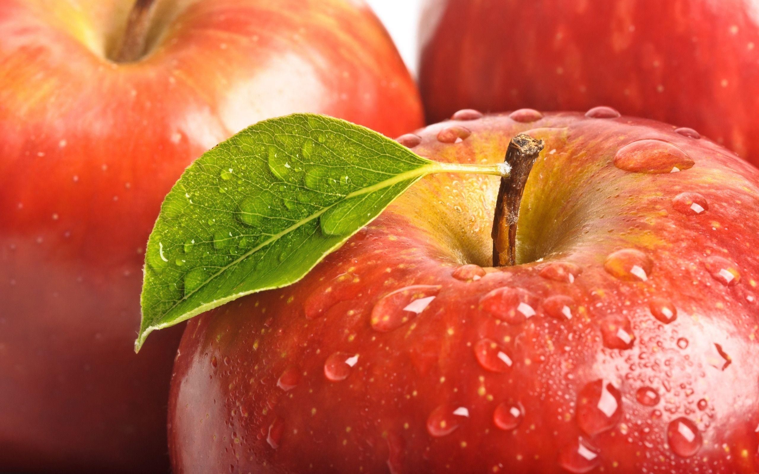 2560 x 1600 · jpeg - Red Apple Wallpapers - Wallpaper Cave