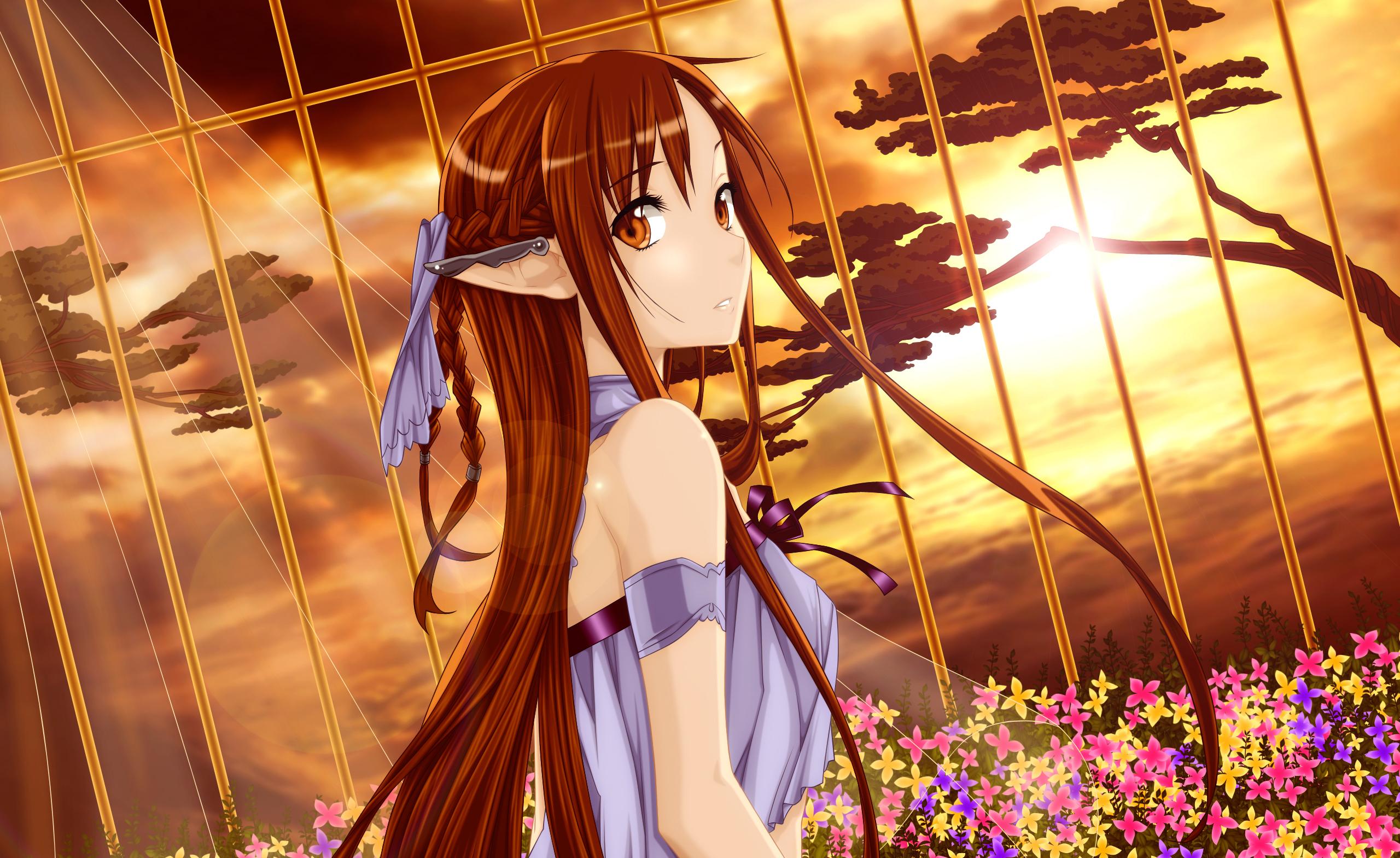 2560 x 1568 · jpeg - Free Asuna Backgrounds | PixelsTalk