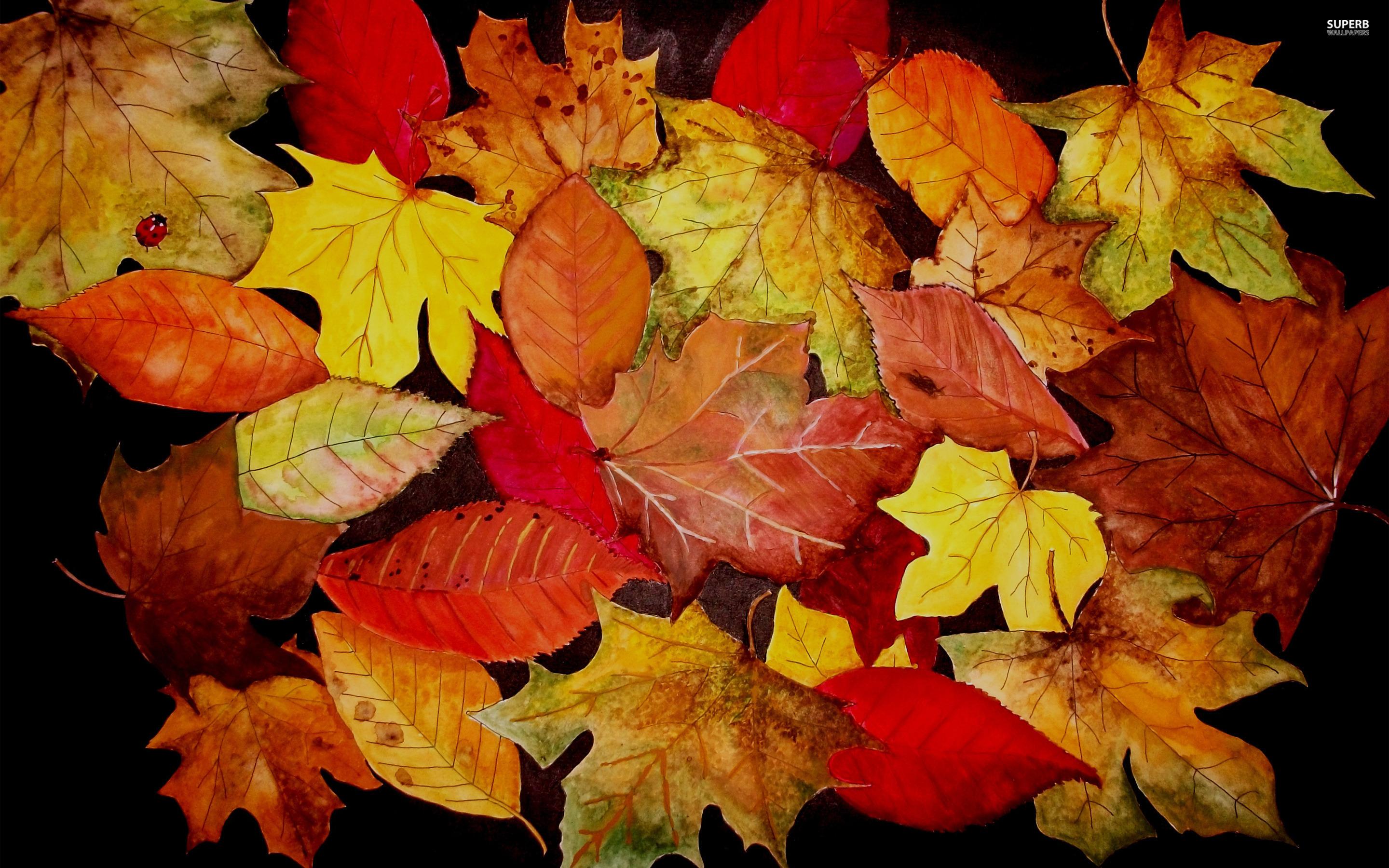 2880 x 1800 · jpeg - Autumn Leaves Wallpaper - WallpaperSafari