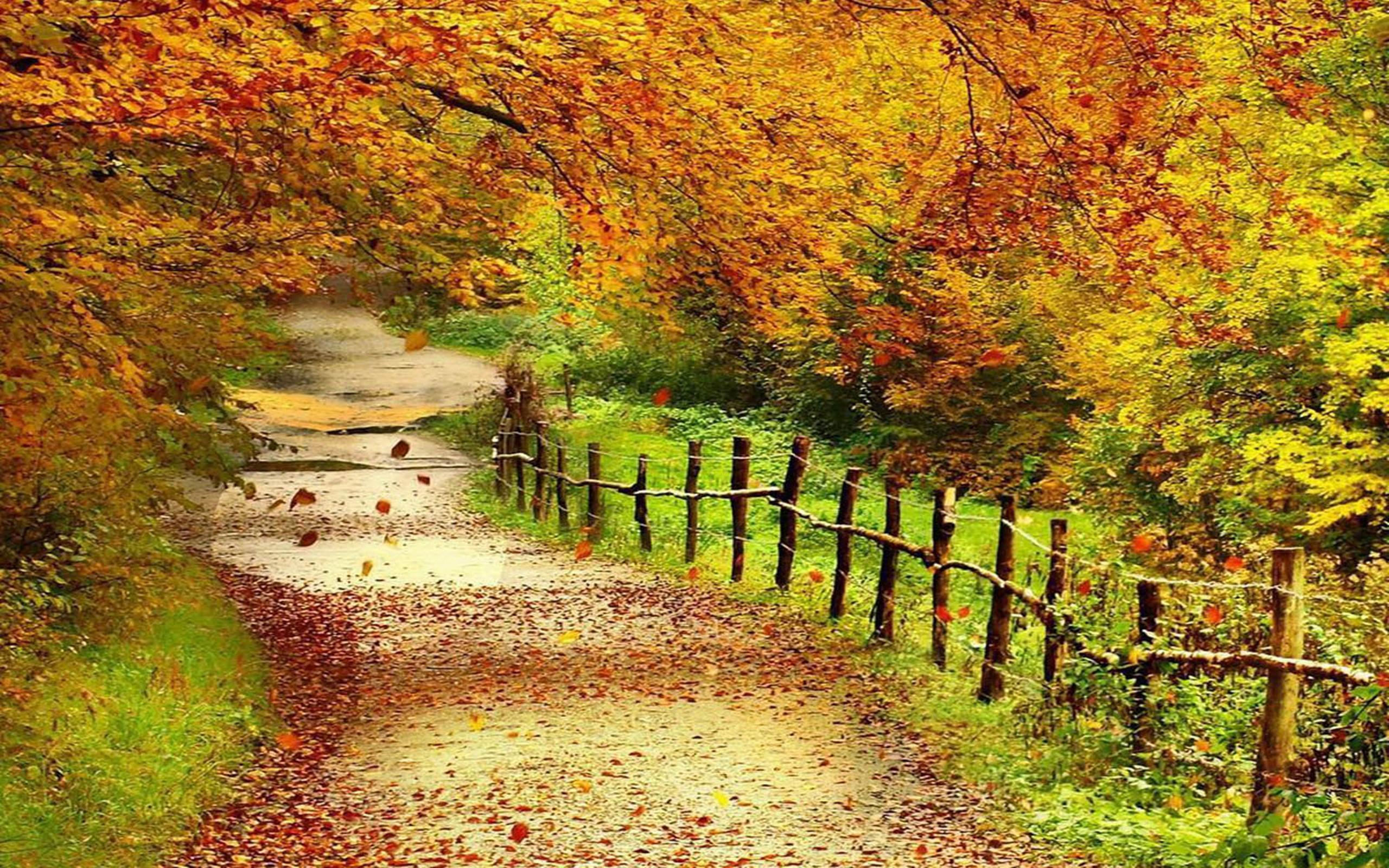 2560 x 1600 · jpeg - Beautiful Autumn Scenery Wallpapers Full Hd Wallpaper : Wallpapers13