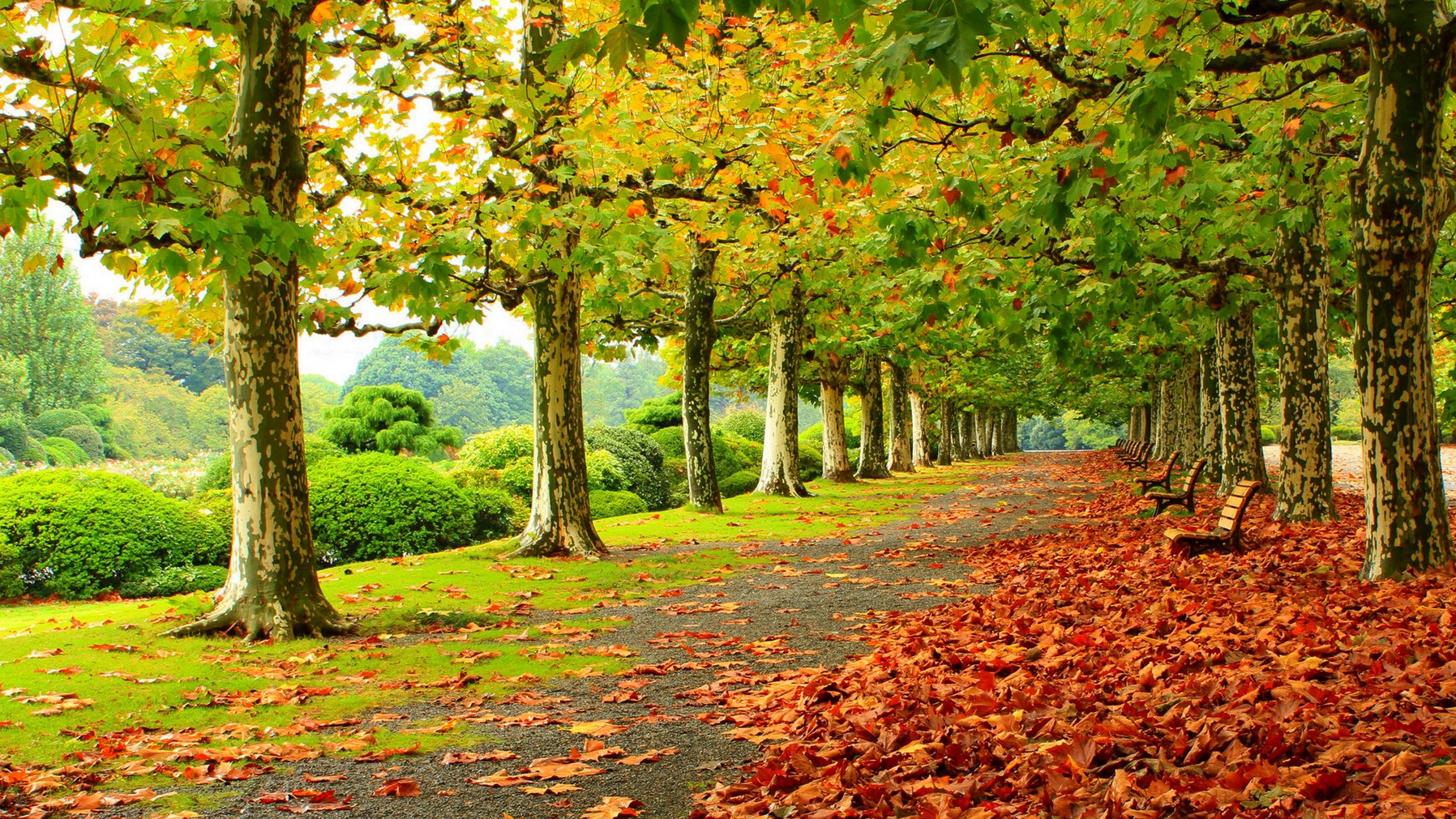 3840 x 2160 · jpeg - Autumn Scenery Wallpapers, Pictures, Images