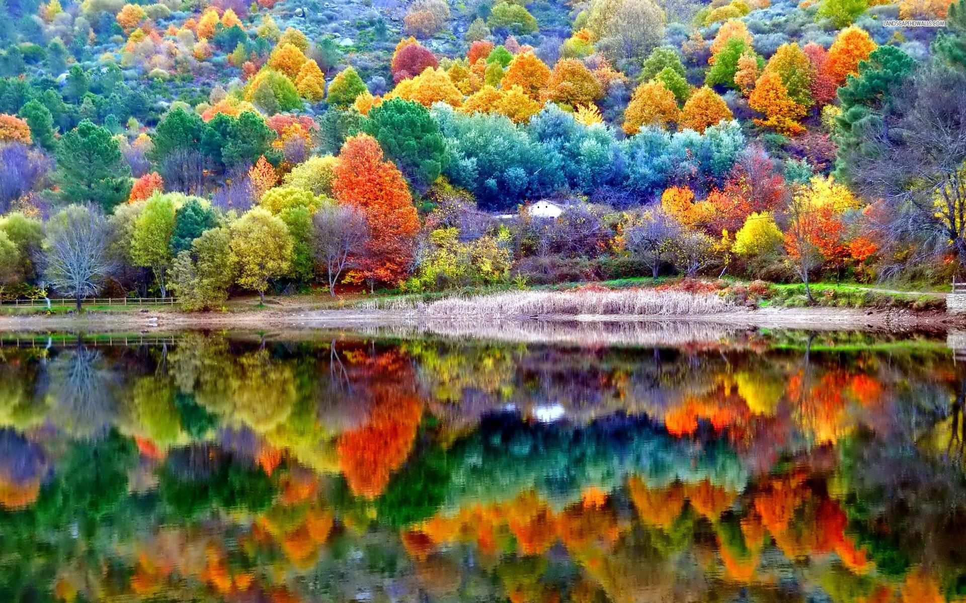 1920 x 1200 · jpeg - Beautiful Fall Backgrounds (50+ images)