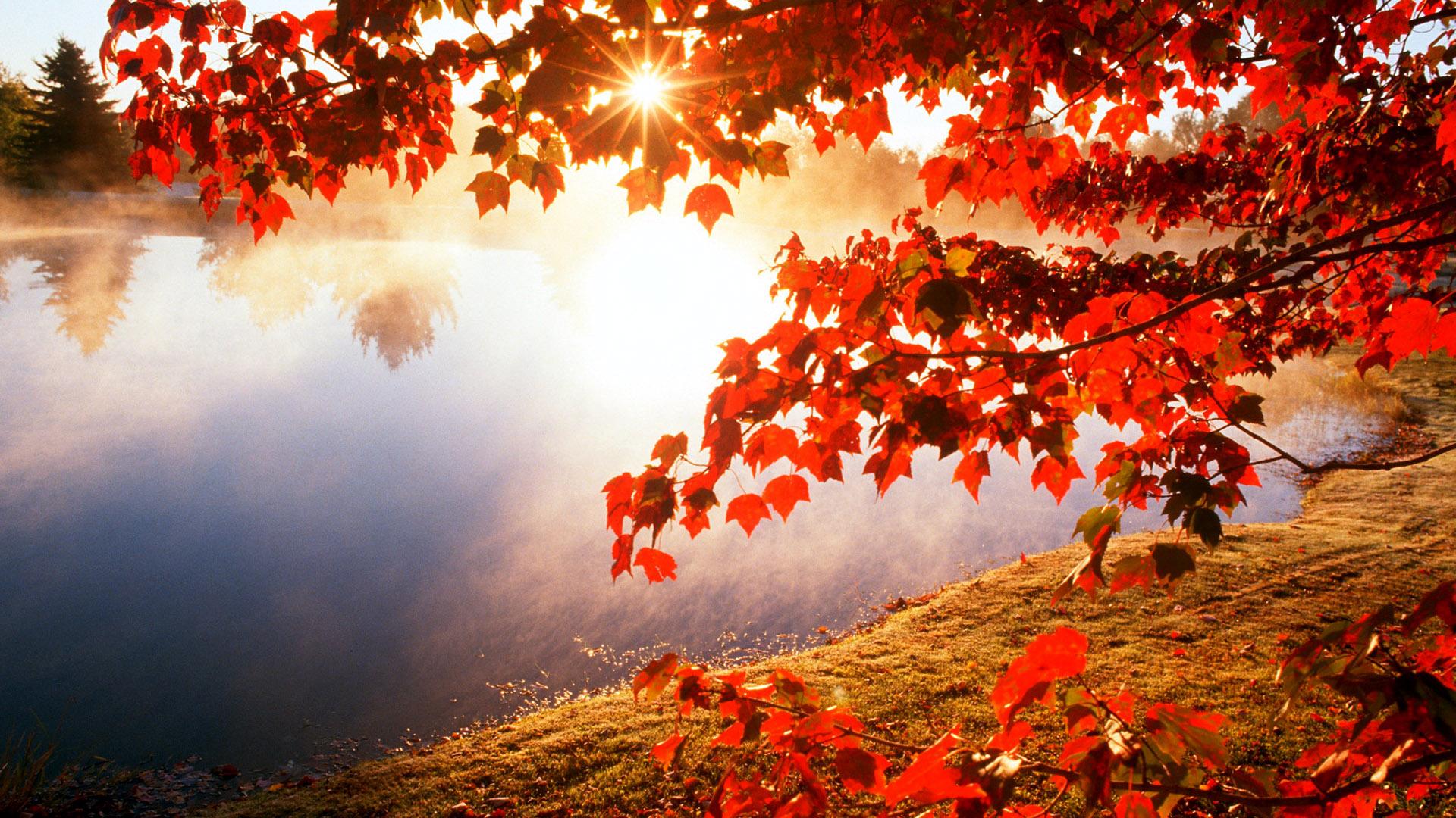 1920 x 1080 · jpeg - Beautiful Autumn Lake Landscape Wallpapers HD / Desktop and Mobile ...