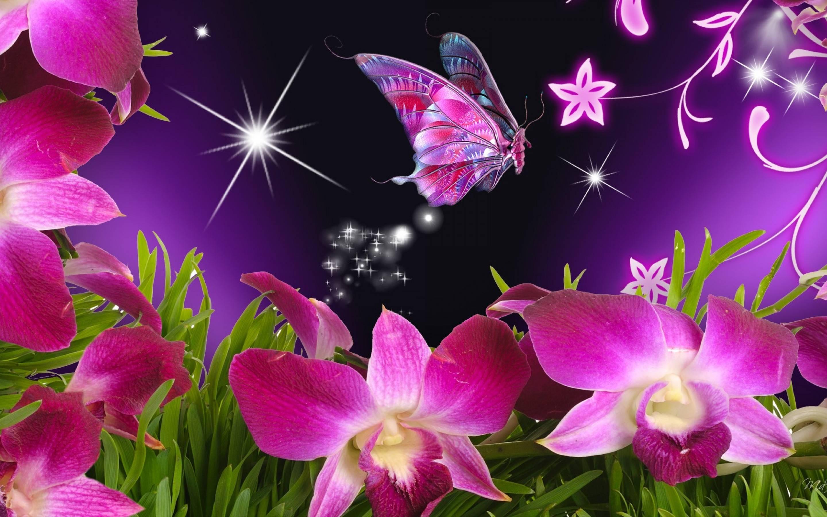 2880 x 1800 · jpeg - Beautiful Butterfly Wallpapers Desktop - Wallpaper Cave