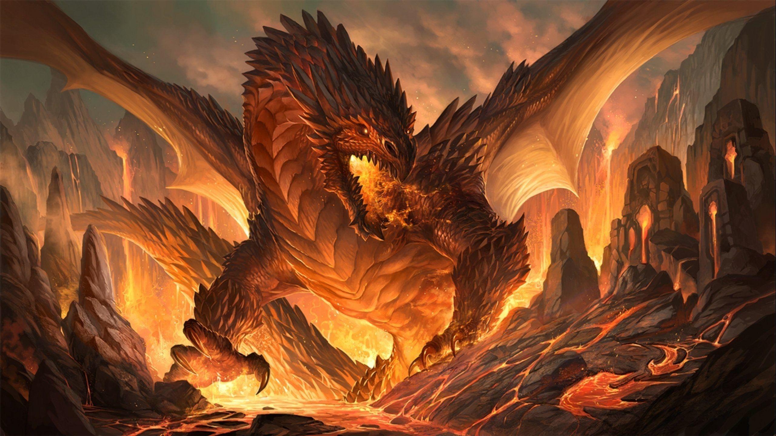 2560 x 1440 · jpeg - Real Dragon Wallpapers - Top Free Real Dragon Backgrounds - WallpaperAccess