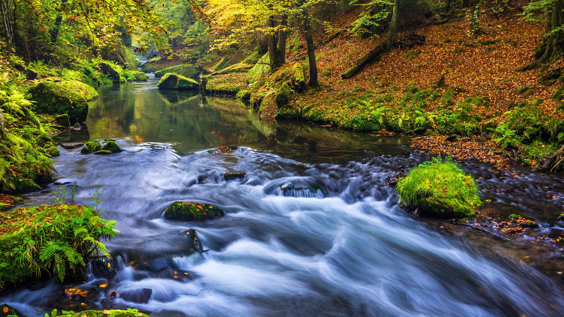 1920 x 1080 · jpeg - Beautiful Nature Forest River Wallpapers Hd High Definition 1920x1200 ...