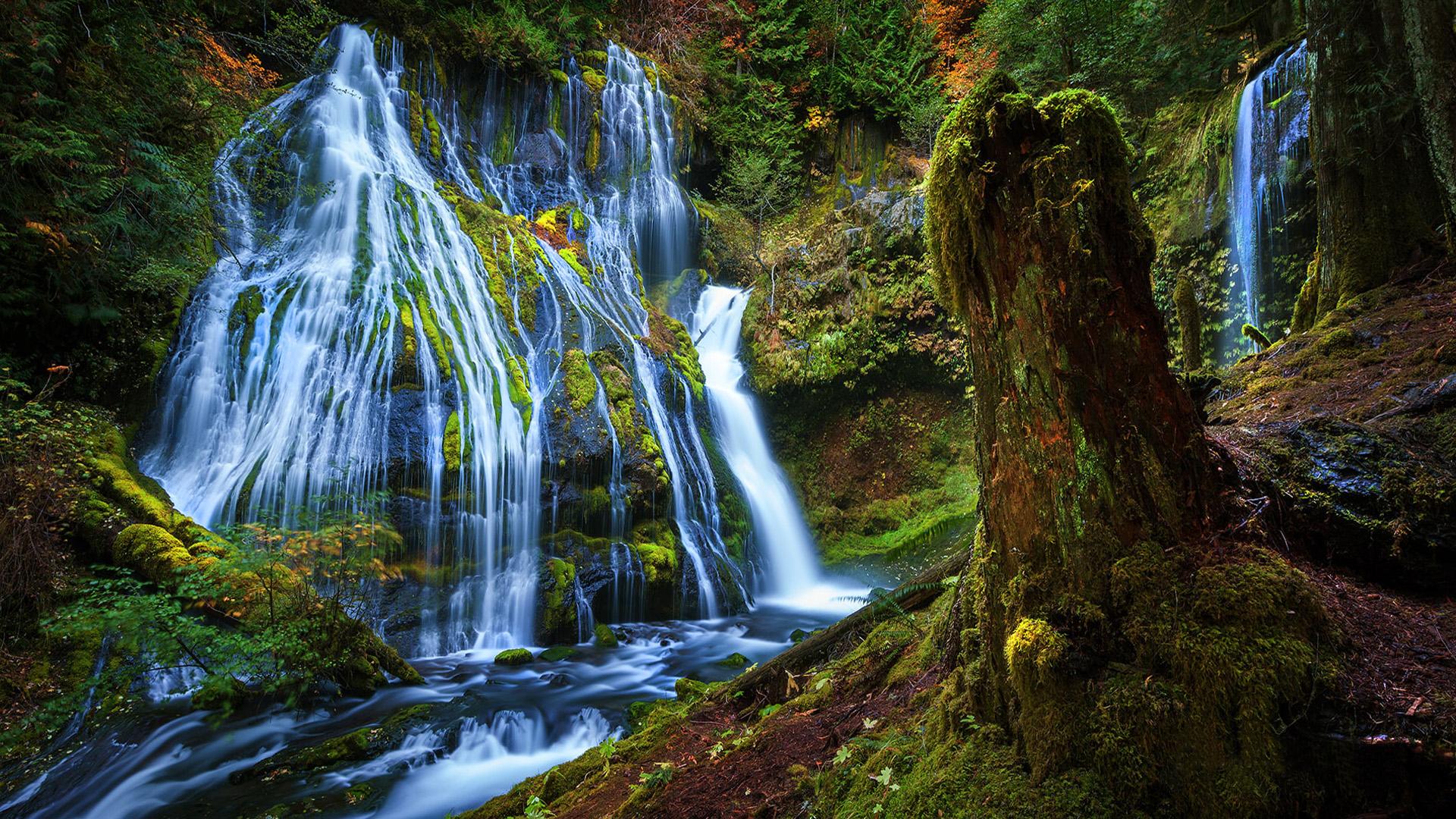 1920 x 1080 · jpeg - Beautiful Scenery Panther Creek Falls Washington Usa Beautiful Hd ...