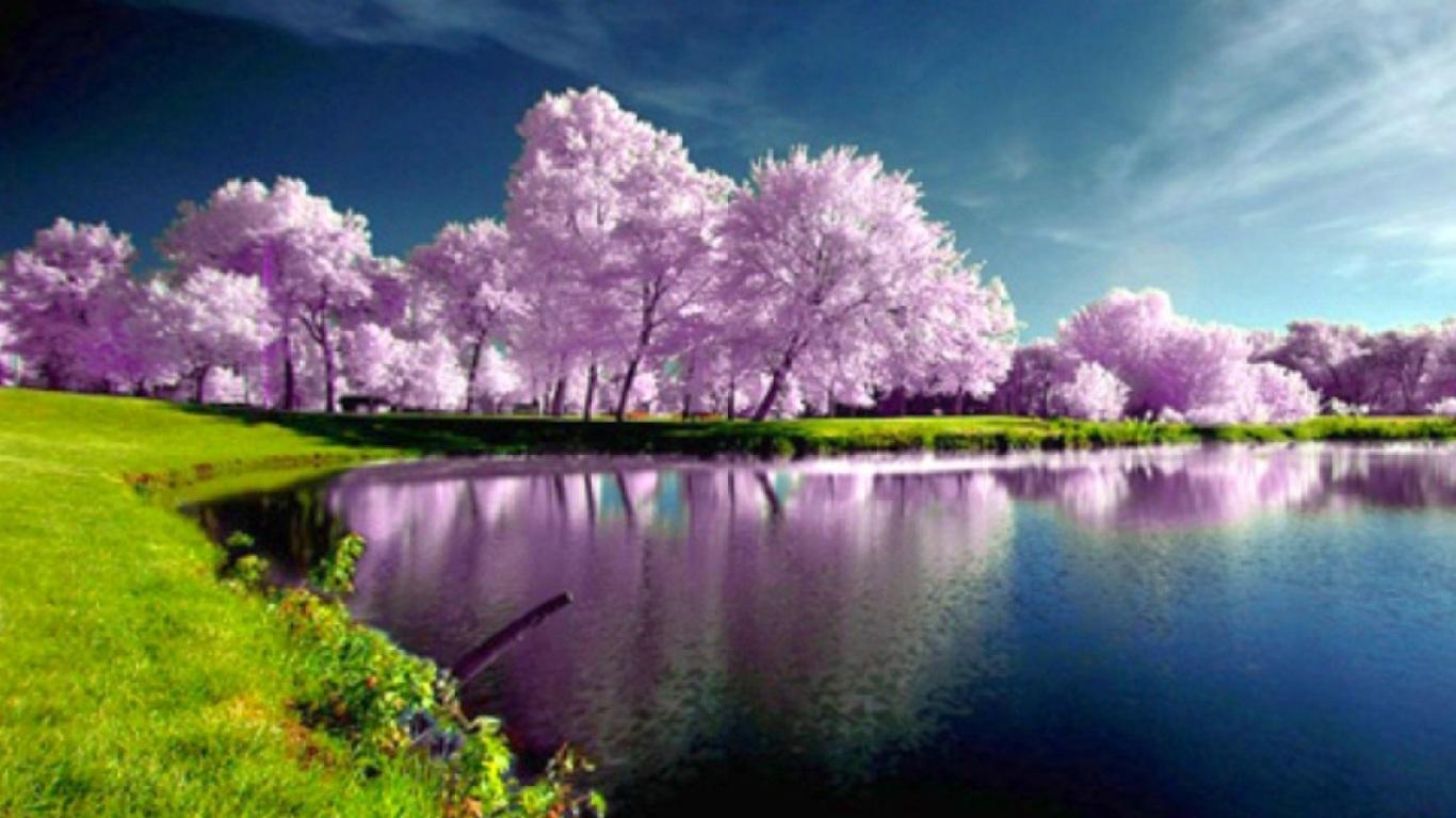 1366 x 768 · jpeg - [46+] Beautiful Spring Nature Desktop Wallpaper on WallpaperSafari