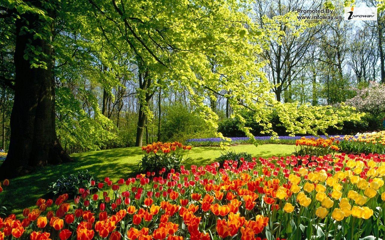 1280 x 800 · jpeg - [46+] Beautiful Spring Nature Desktop Wallpaper on WallpaperSafari