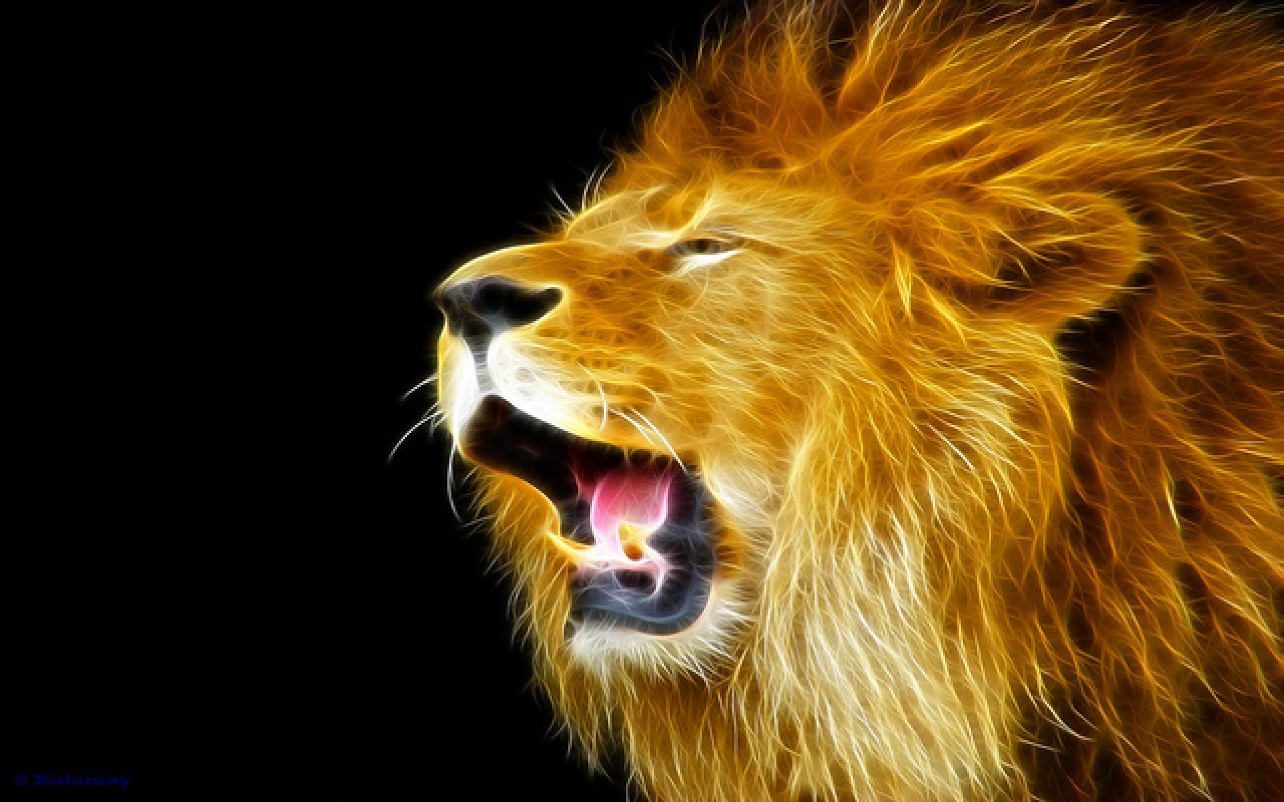 2560 x 1600 · jpeg - Roaring Lion Wallpaper (67+ images)