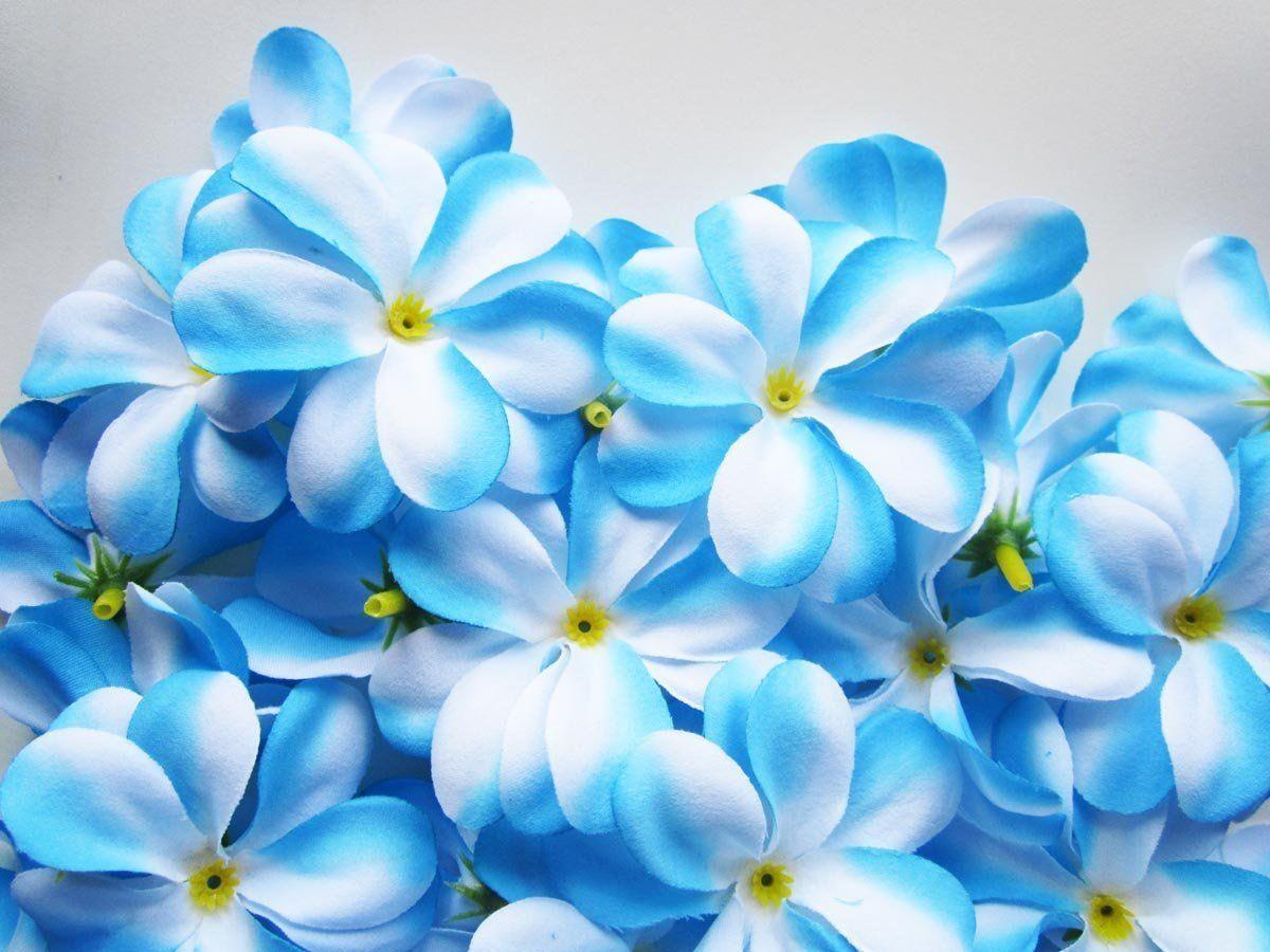 1200 x 900 · jpeg - Blue Flowers Wallpapers - Wallpaper Cave