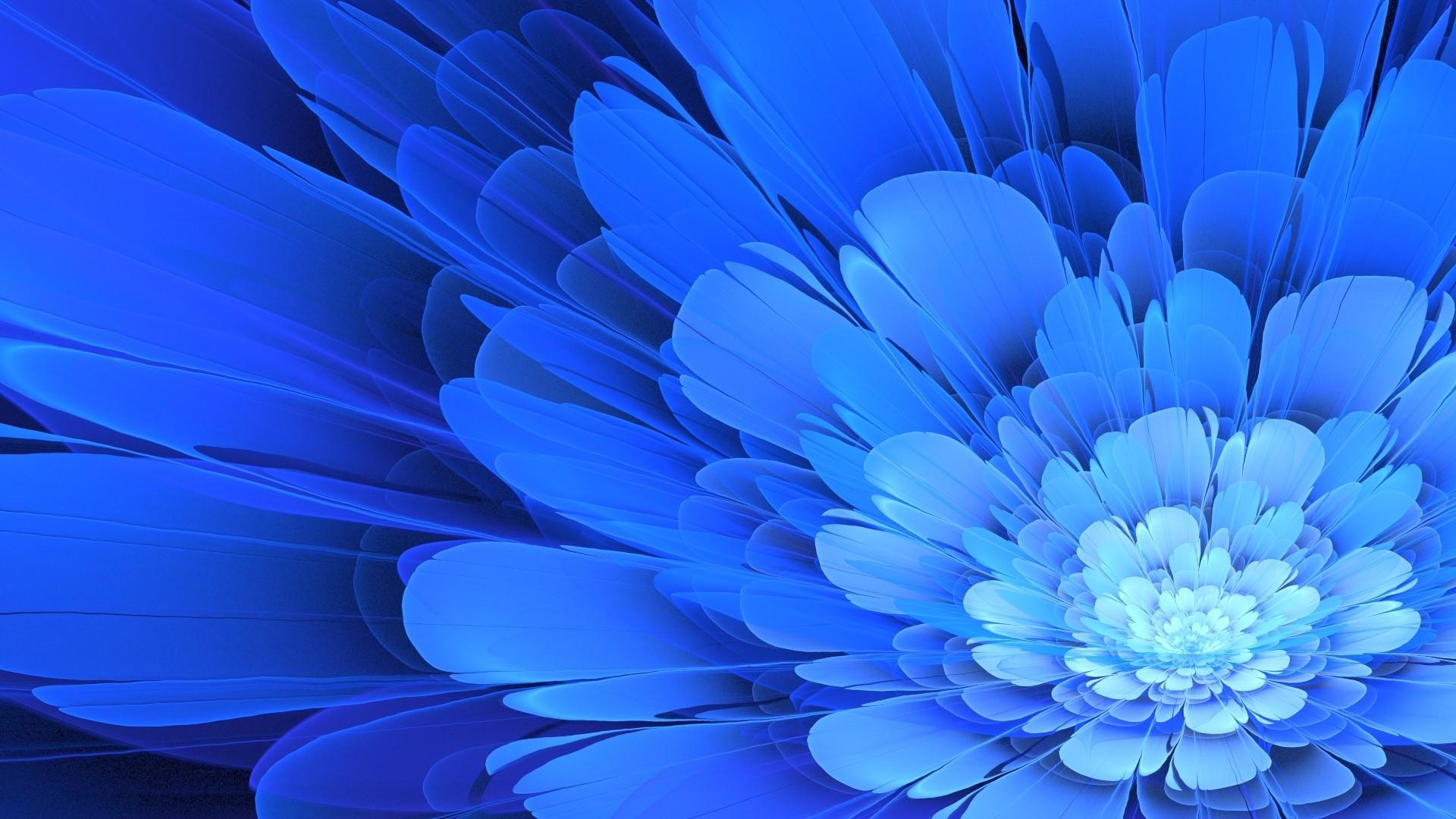 1920 x 1080 · jpeg - Blue Flower Wallpapers: 26 Images, Nature Category