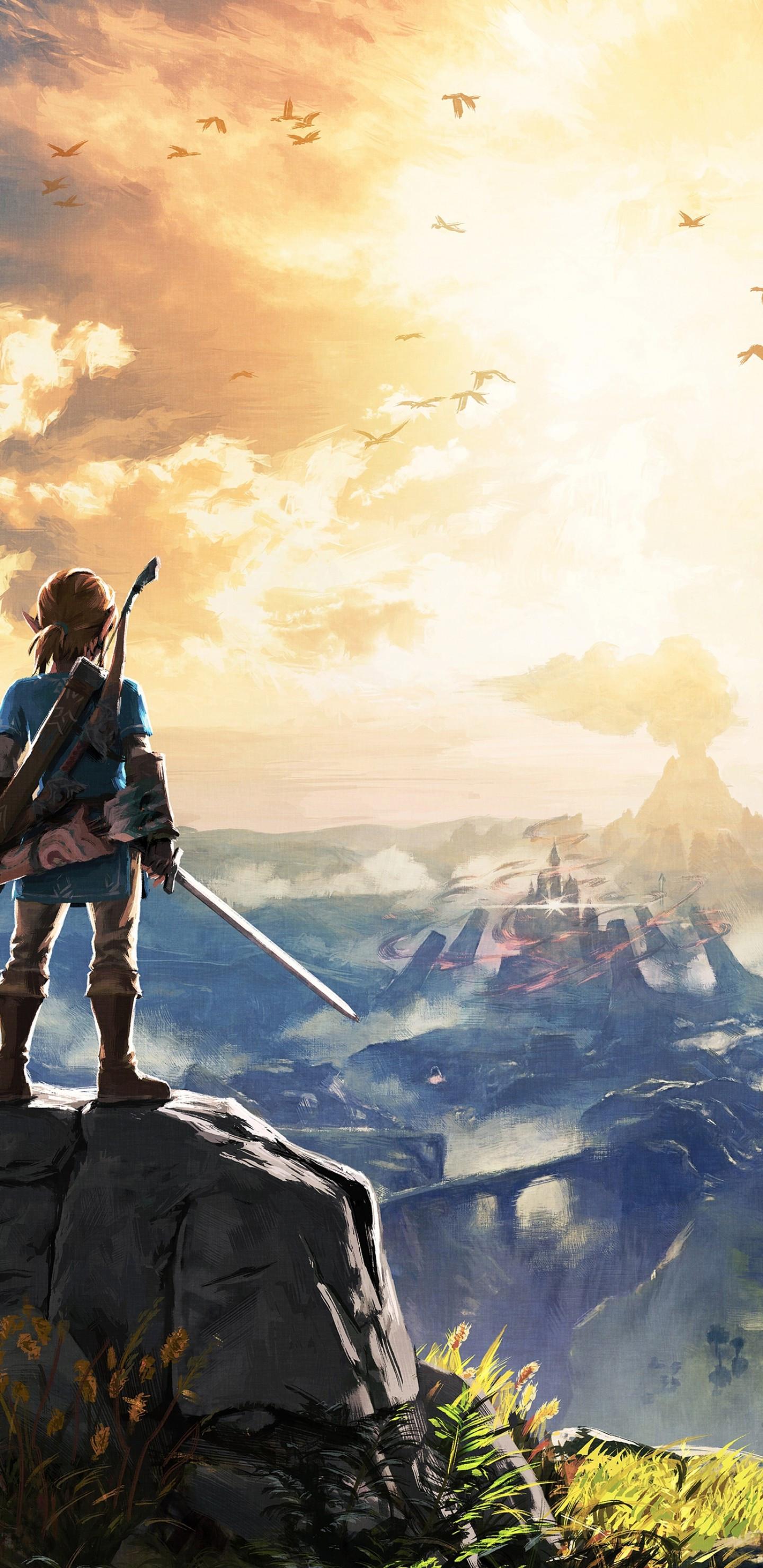 1440 x 2960 · jpeg - Download 1440x2960 The Legend Of Zelda: Breath Of The Wild, Link ...