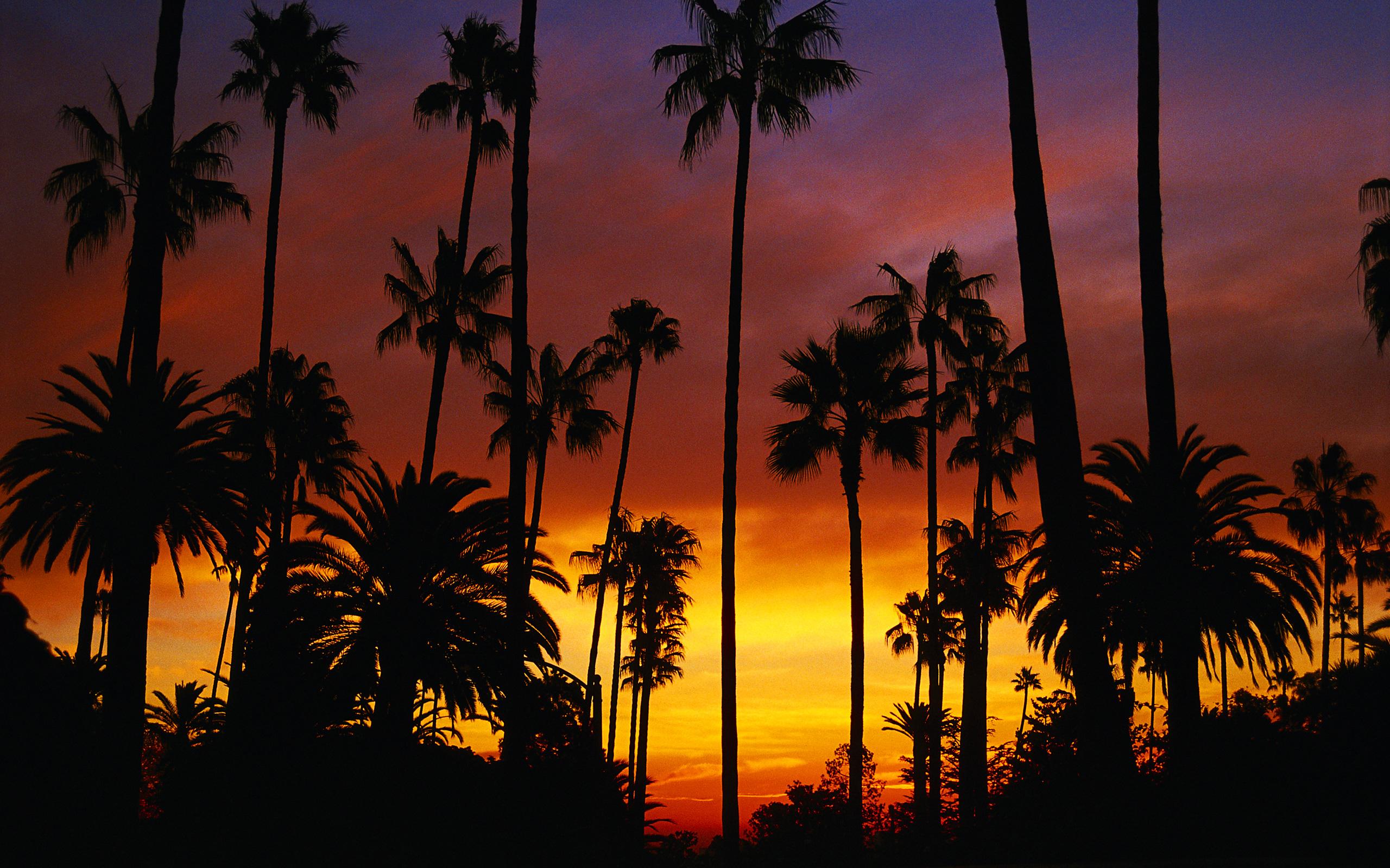 2560 x 1600 · jpeg - California Wallpapers, Pictures, Images