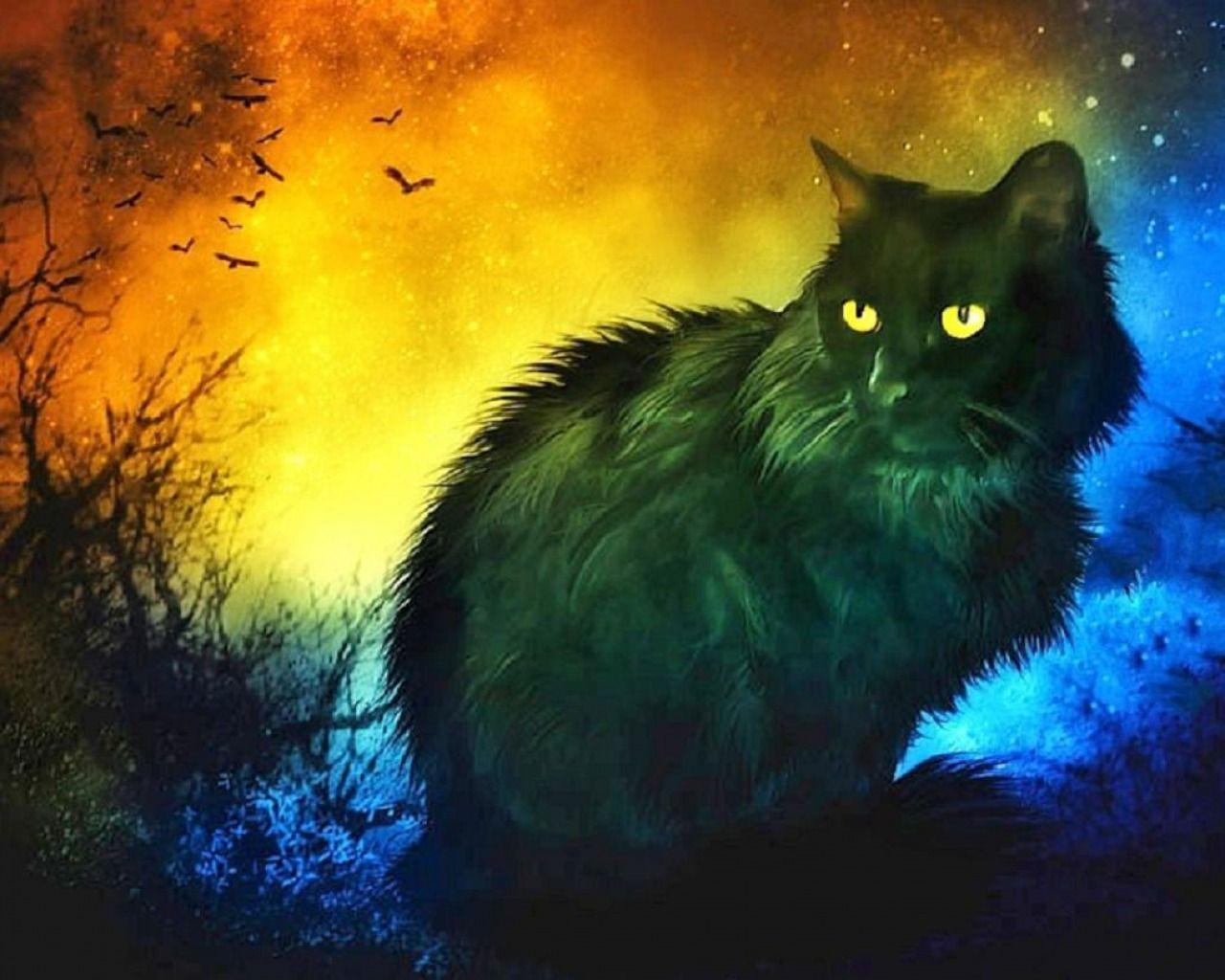 1280 x 1024 · jpeg - Mysterious Black Cat - Desktop Nexus Wallpapers | Black cat art, Cats ...