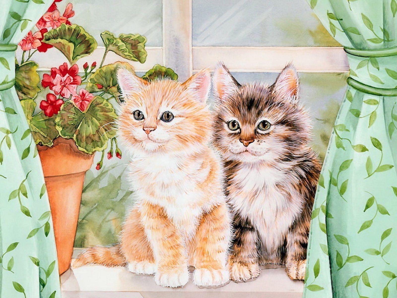 1600 x 1200 · jpeg - Kitten Print Wallpapers on WallpaperDog