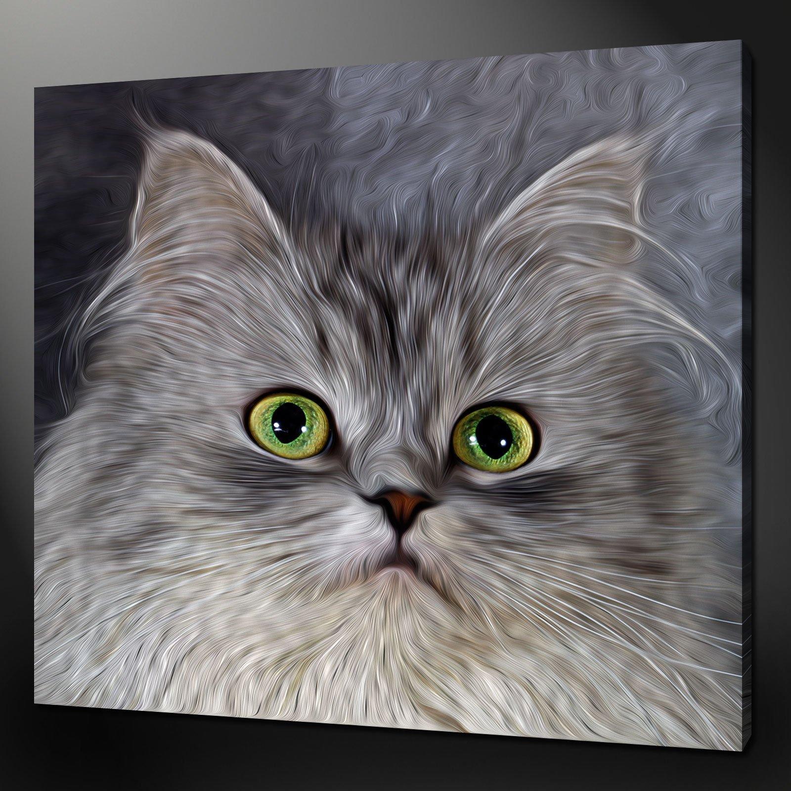 1600 x 1600 · jpeg - WHITE CAT CANVAS WALL ART PICTURES PRINTS 12