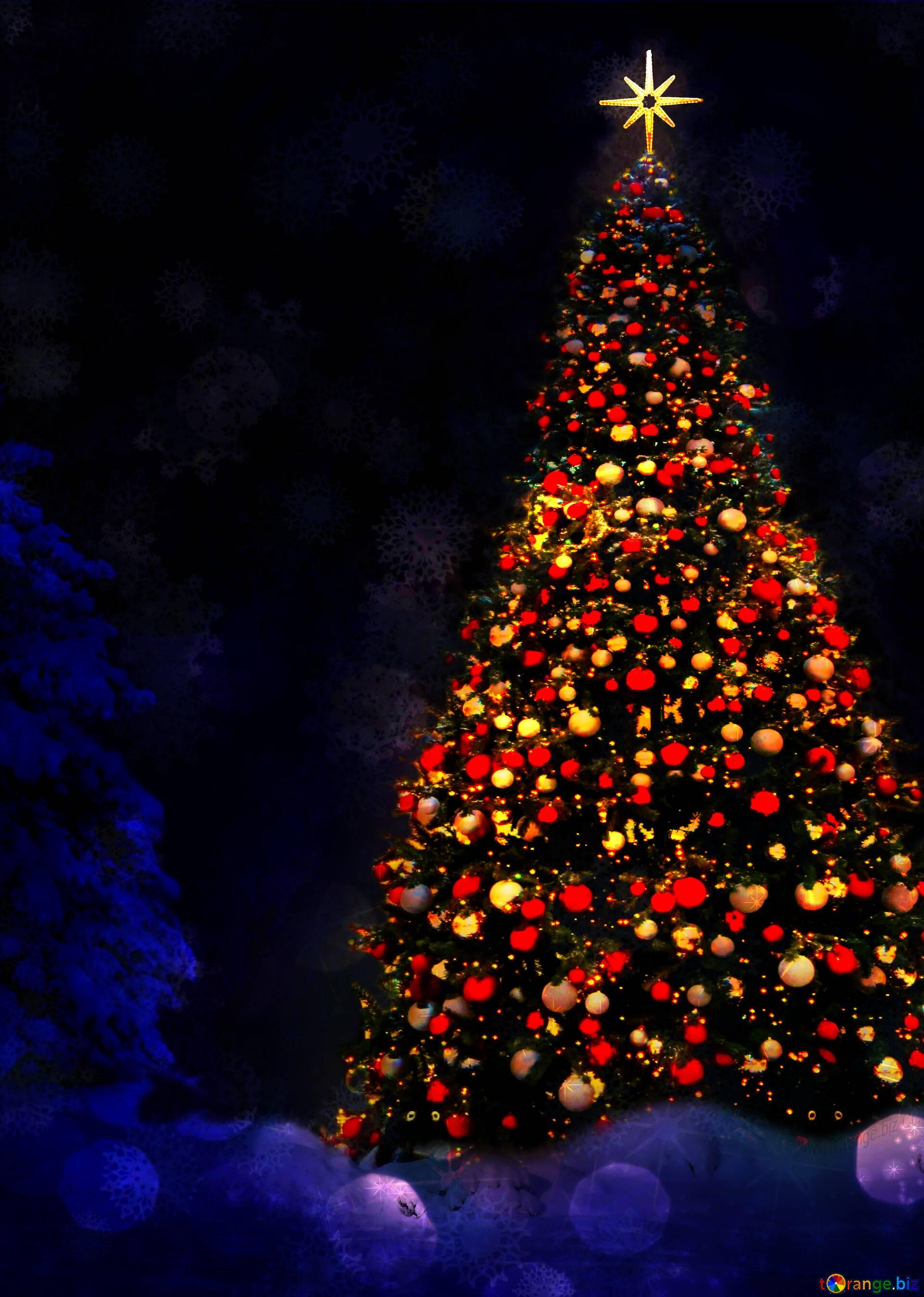 1920 x 2694 · jpeg - Download free picture Christmas tree vertical background on CC-BY ...