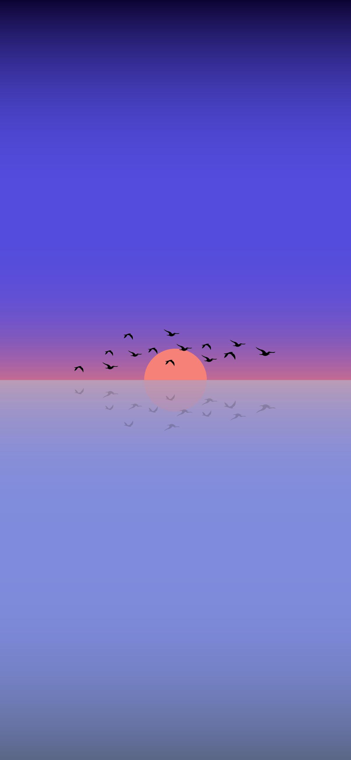 1205 x 2609 · png - Minimalist phone wallpapers - Sunset and birds flying