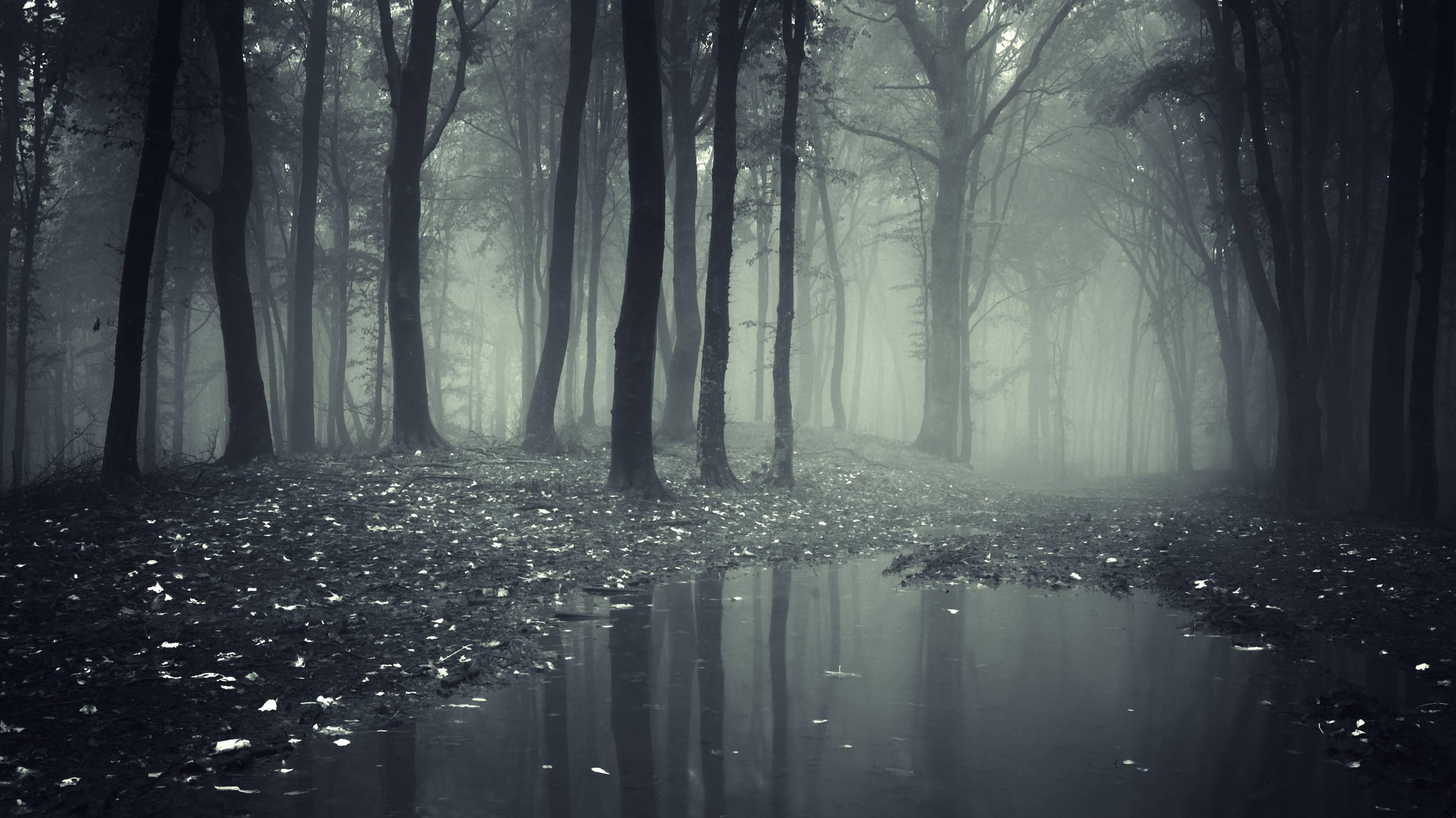 3840 x 2160 · jpeg - Creepy Backgrounds Pictures - Wallpaper Cave