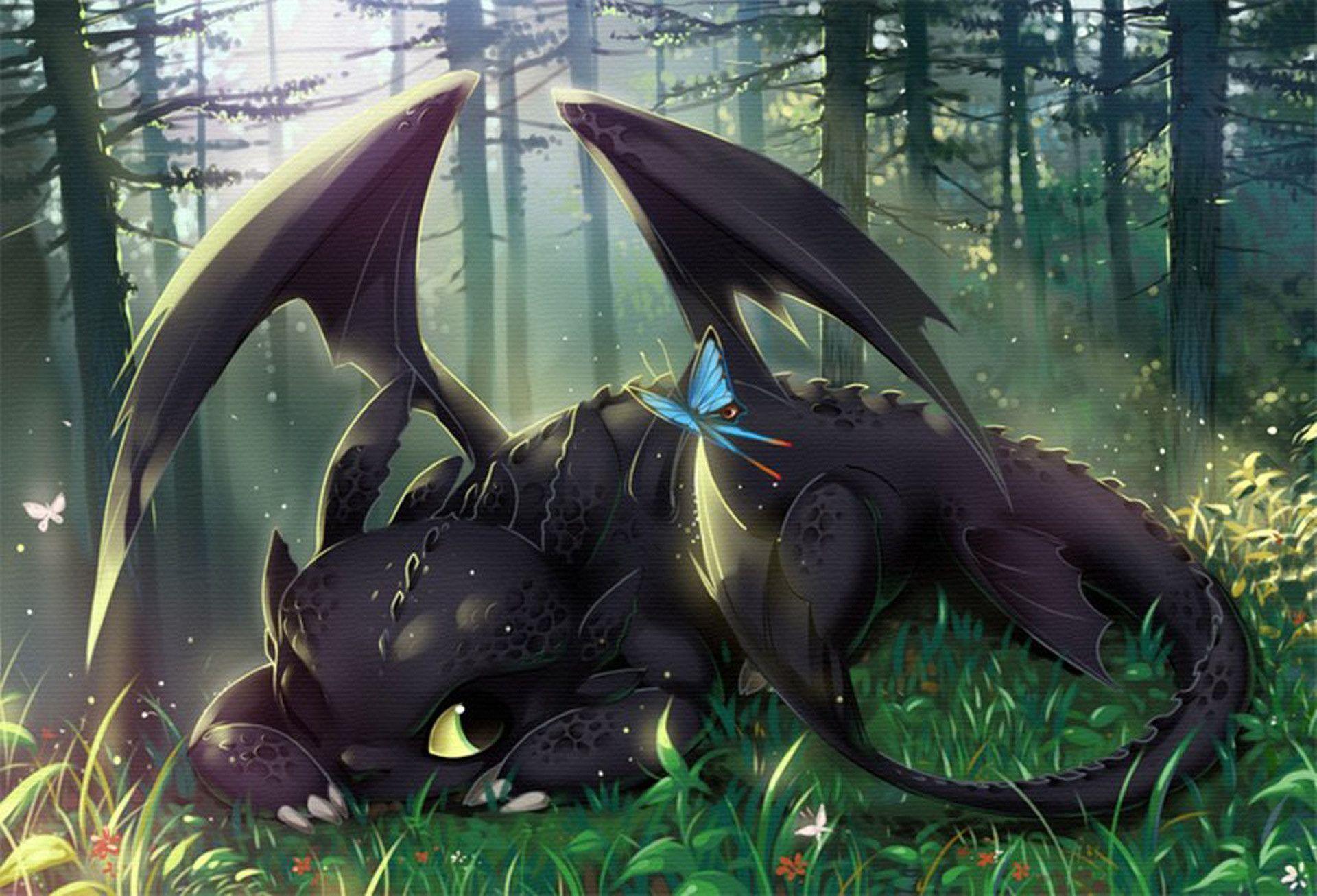 1920 x 1306 · jpeg - Toothless Wallpapers - Wallpaper Cave