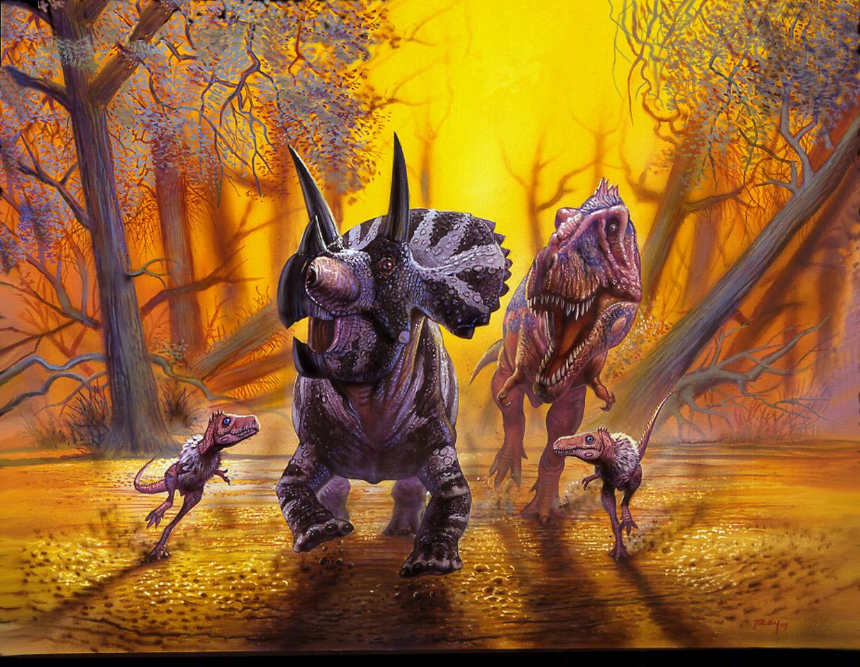 1238 x 960 · jpeg - Beautiful Dinosaurs Wallpaper Image - ID: 322554 - Image Abyss