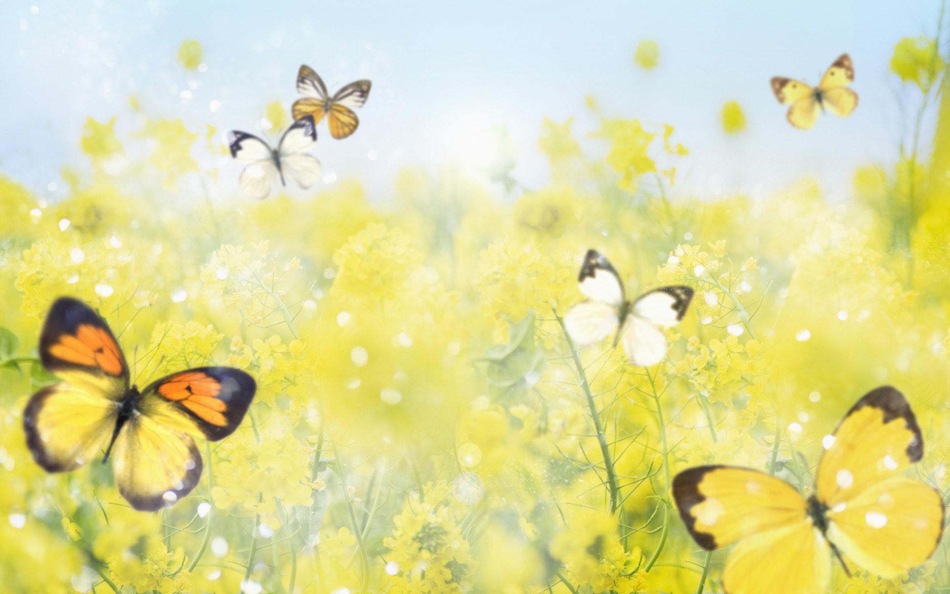 1920 x 1200 · jpeg - Cute Spring Backgrounds (43+ images)