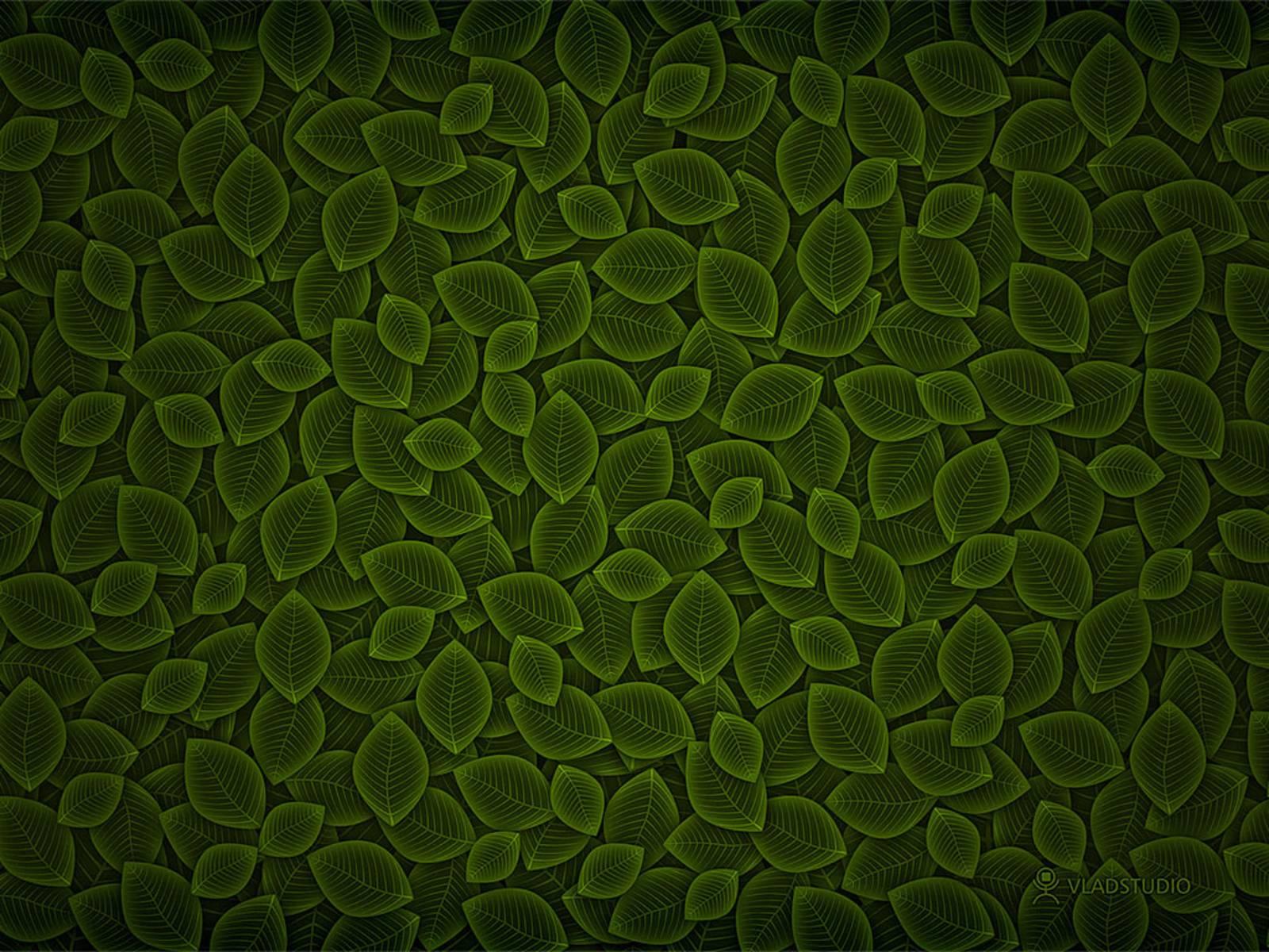 1600 x 1200 · jpeg - Dark Green Wallpapers - Wallpaper Cave