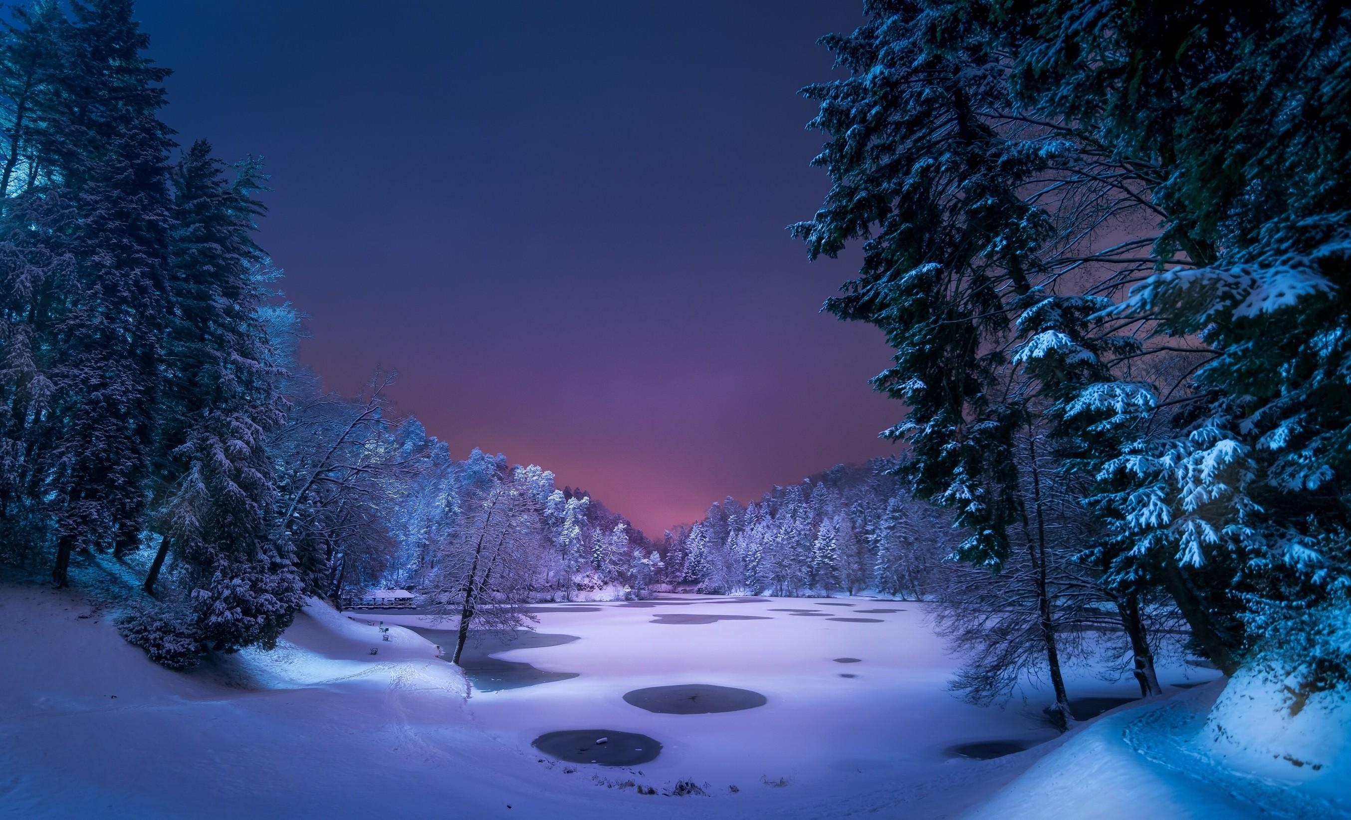 2708 x 1643 · jpeg - night, Landscape, Snow, Ice, Winter, Trees, Nature Wallpapers HD ...