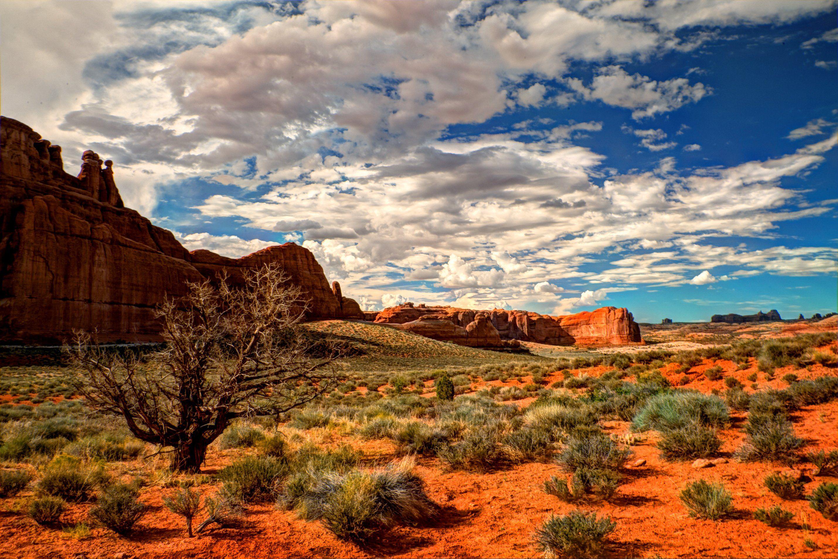 2859 x 1907 · jpeg - Desert Landscape Wallpapers - Top Free Desert Landscape Backgrounds ...