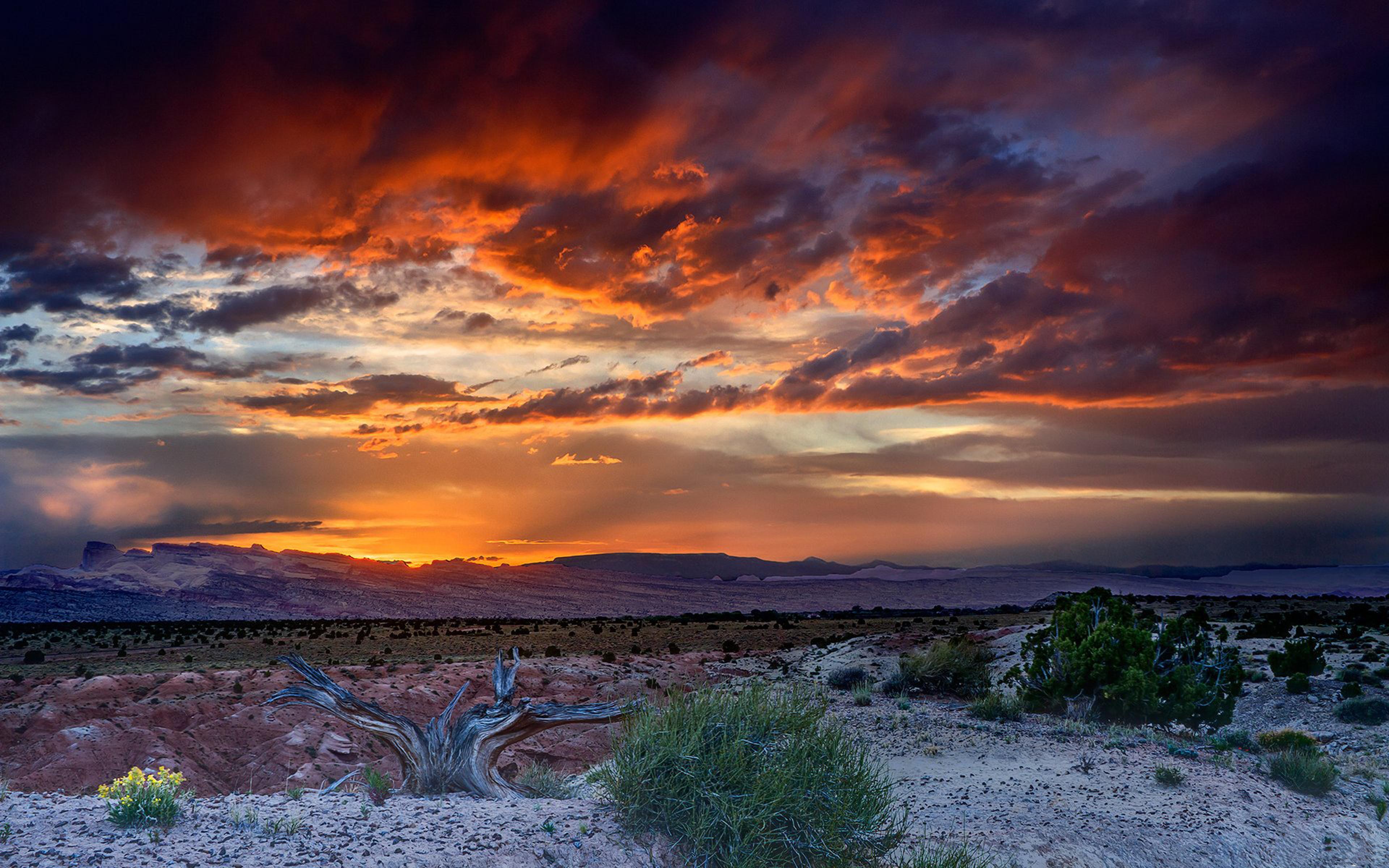3840 x 2400 · jpeg - Sunset Desert Area Sand Bushes Landscape Wallpaper Hd 3840x2400 ...