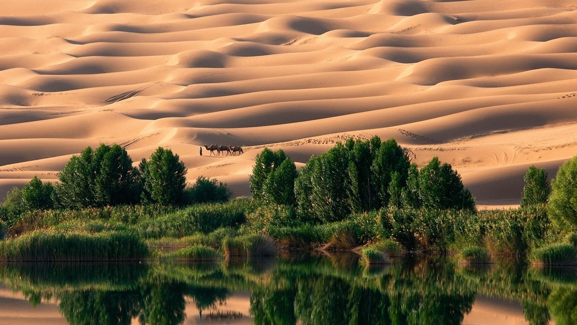 1920 x 1080 · jpeg - Desert Oasis Wallpaper (57+ images)