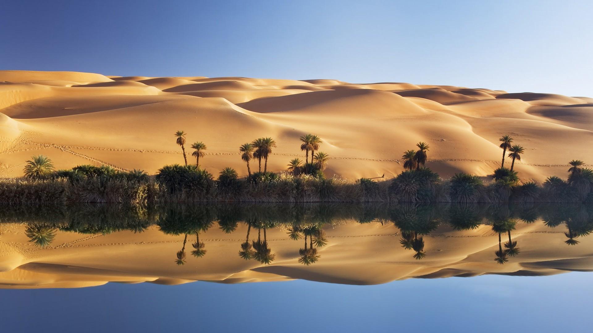 1920 x 1080 · jpeg - Desert Oasis Wallpapers - Top Free Desert Oasis Backgrounds ...