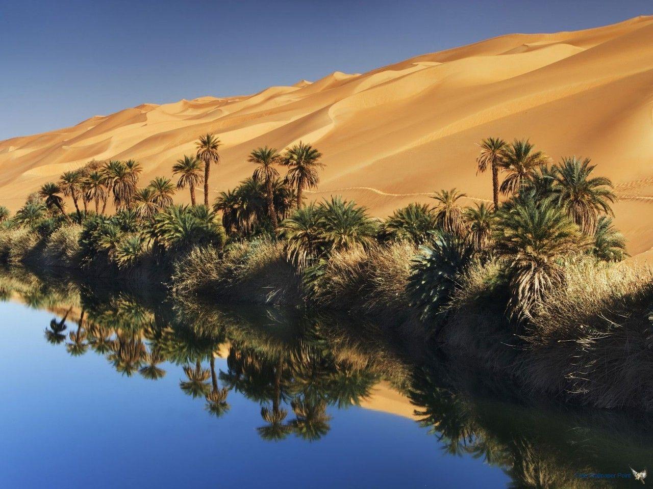 1280 x 960 · jpeg - Desert Oasis Wallpapers - Top Free Desert Oasis Backgrounds ...