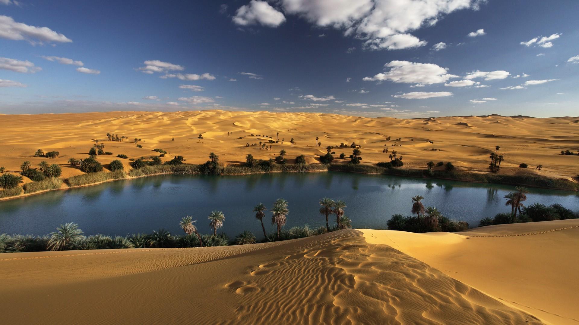 1920 x 1080 · jpeg - landscape, Desert, Oasis, Oases, Palm Trees Wallpapers HD / Desktop and ...