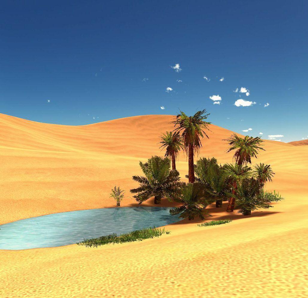 1029 x 995 · jpeg - Desert Oasis Wallpapers - Top Free Desert Oasis Backgrounds ...