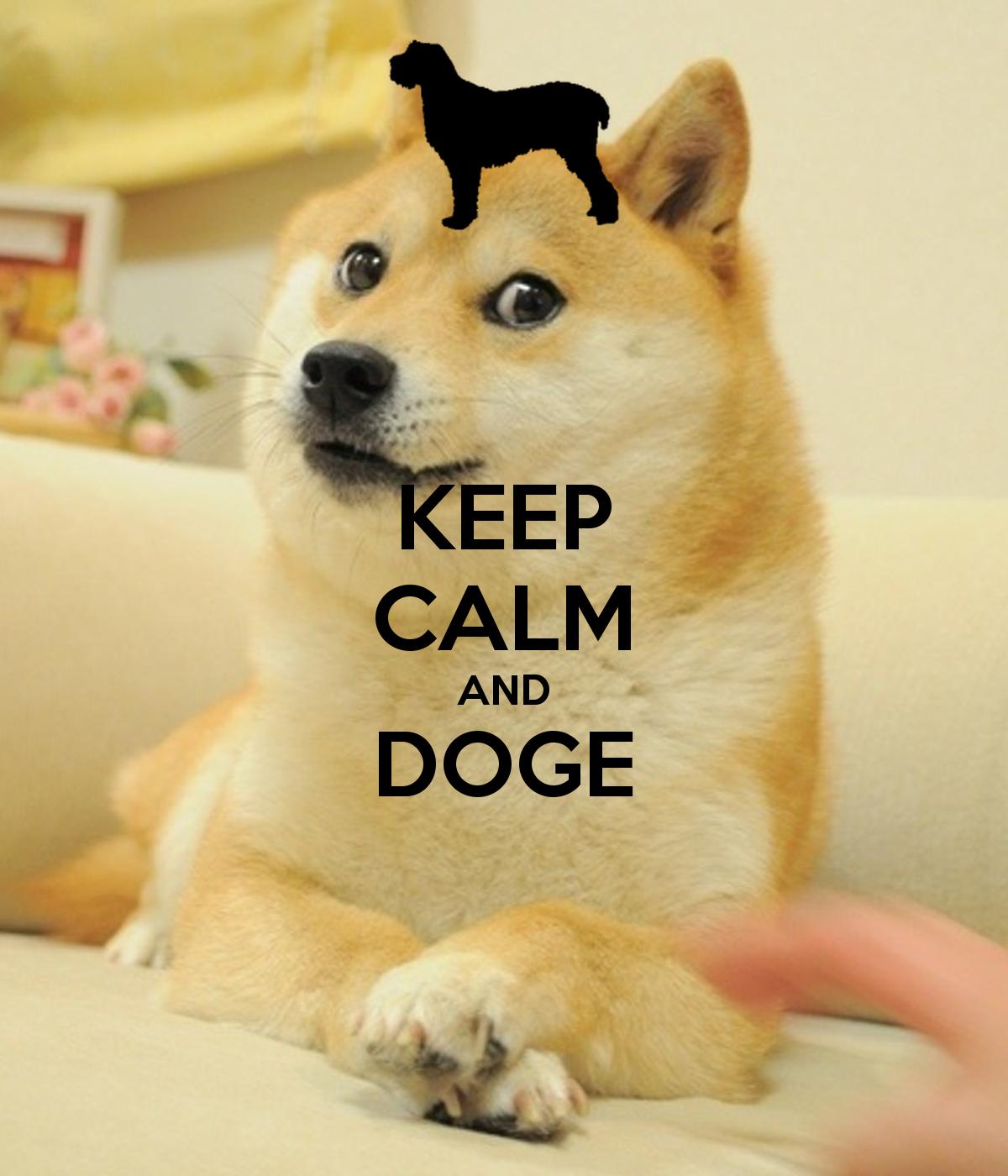 1200 x 1400 · png - Dog Meme Wallpapers - Top Free Dog Meme Backgrounds - WallpaperAccess