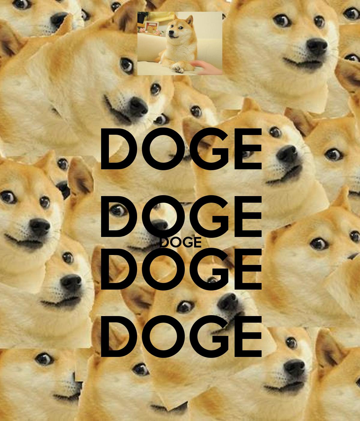 1200 x 1400 · png - Small Wallpaper Doge Memes | Quotes and Wallpaper L