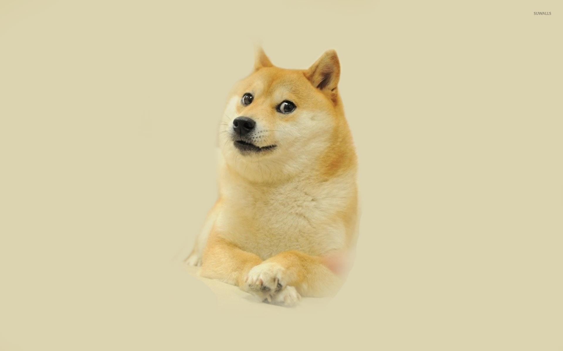 1920 x 1200 · jpeg - Doge Meme Wallpaper (85+ images)