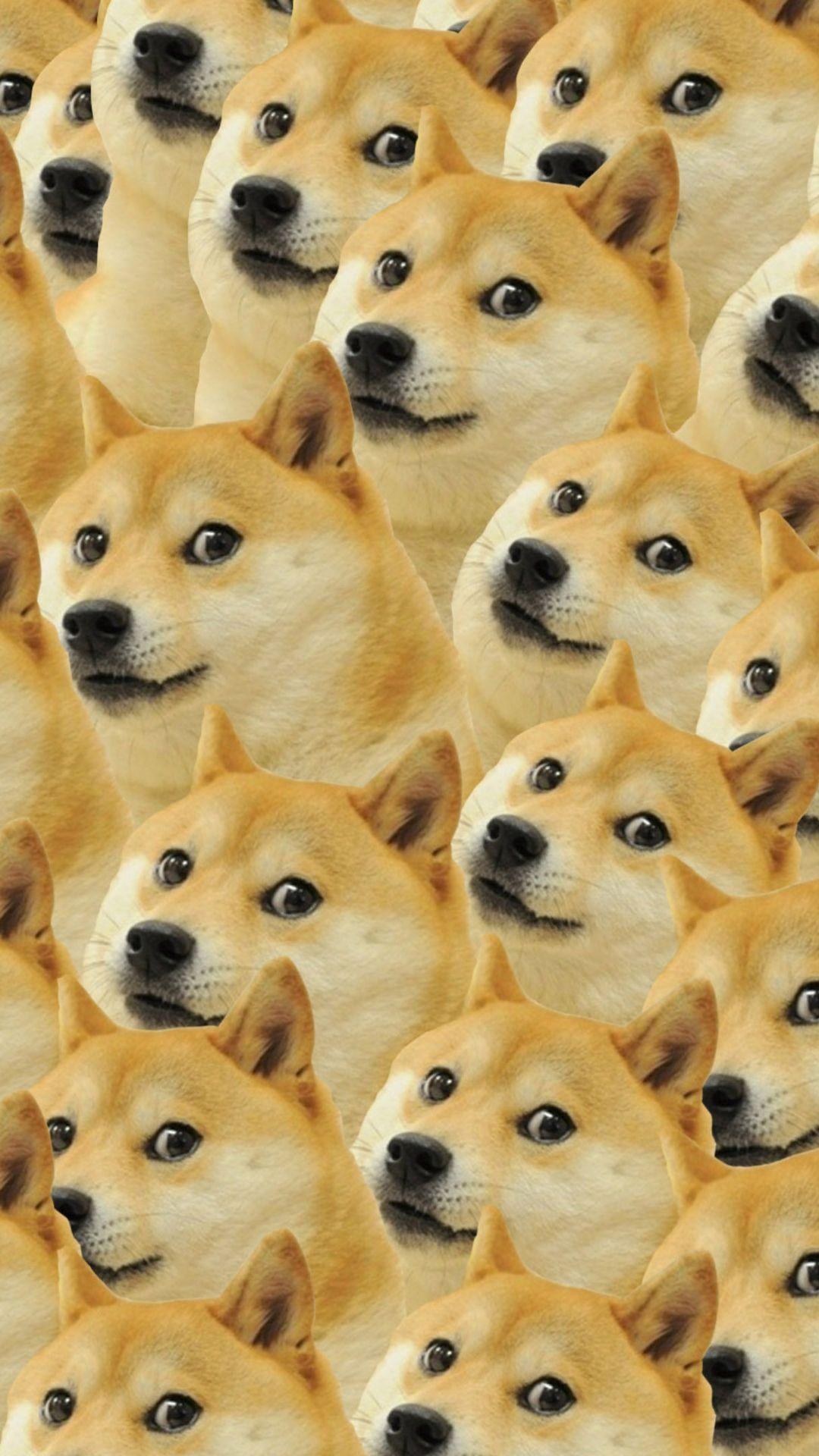 1080 x 1920 · jpeg - Doge Wallpaper Hd | Dog wallpaper iphone, Dog wallpaper, Doge meme