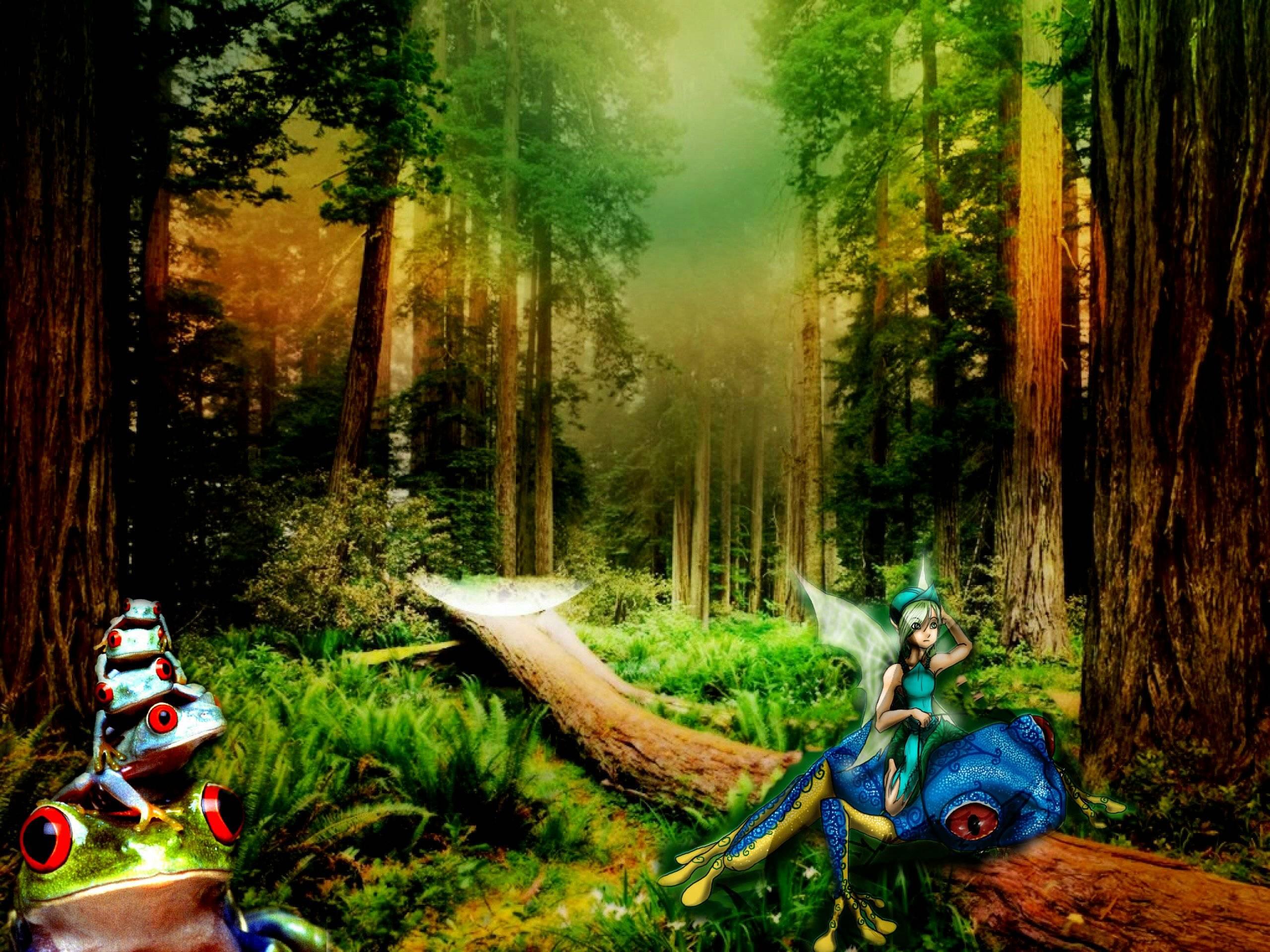 2560 x 1920 · jpeg - Enchanted Forest Backgrounds - Wallpaper Cave