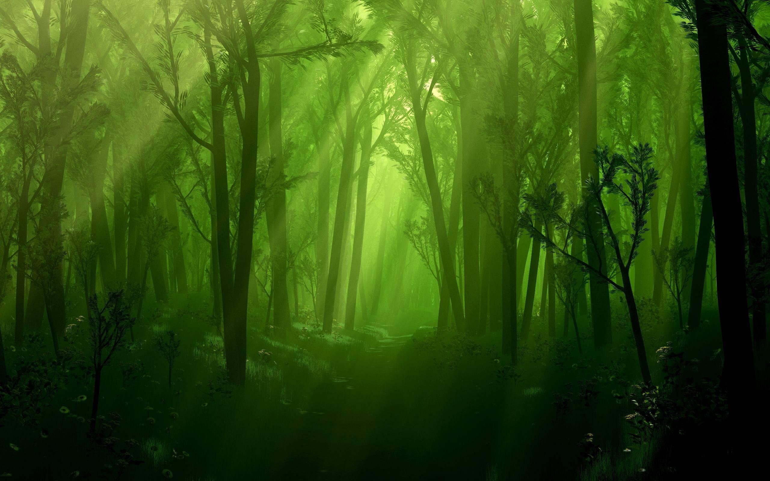 2560 x 1600 · jpeg - Enchanted Forest Backgrounds - Wallpaper Cave