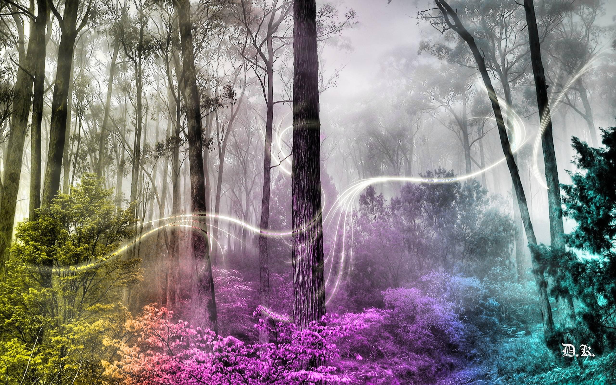 2560 x 1600 · jpeg - Enchanted Forest Backgrounds - Wallpaper Cave