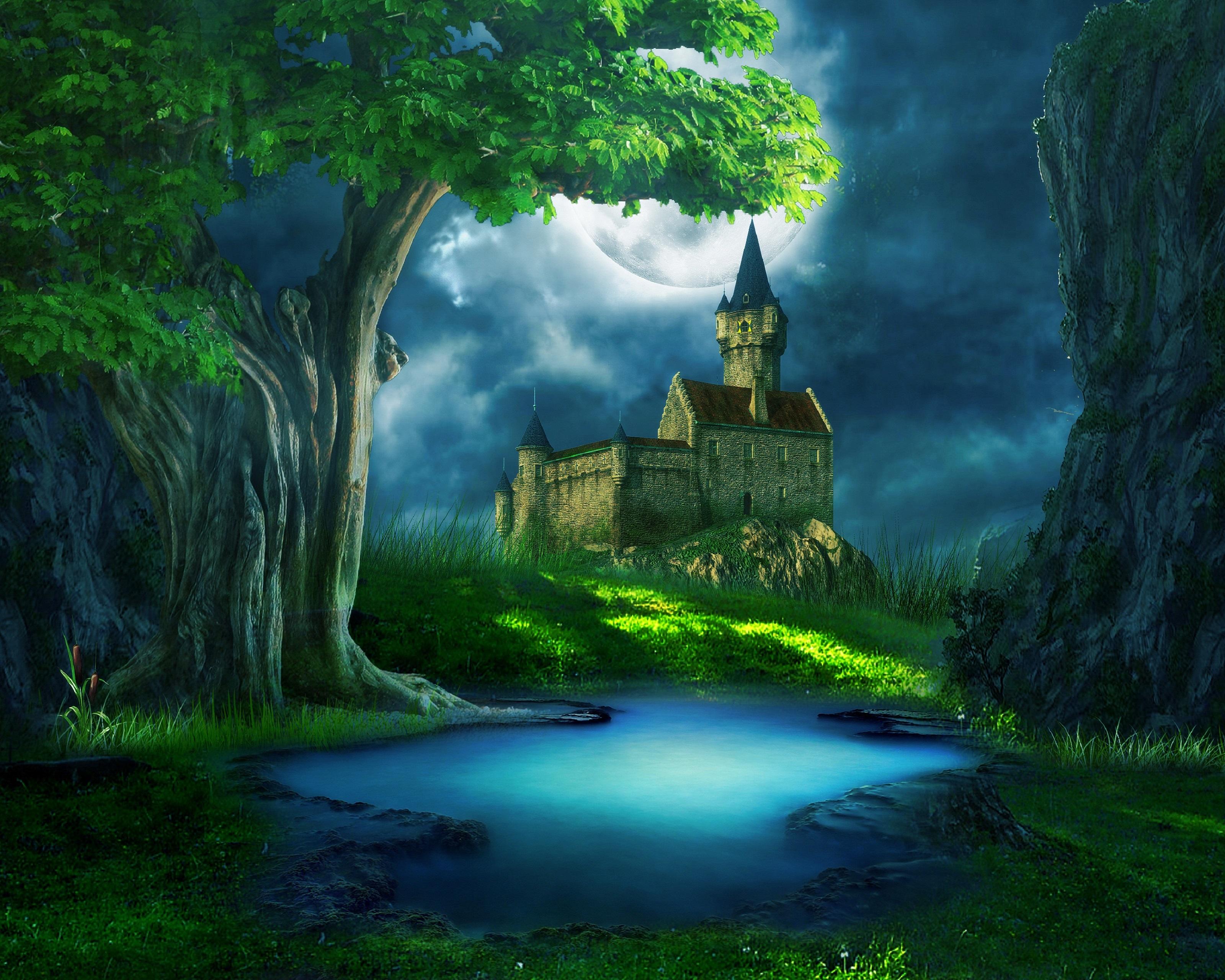 3200 x 2560 · jpeg - Castle in Enchanted Forest HD Wallpaper | Background Image | 3200x2560 ...